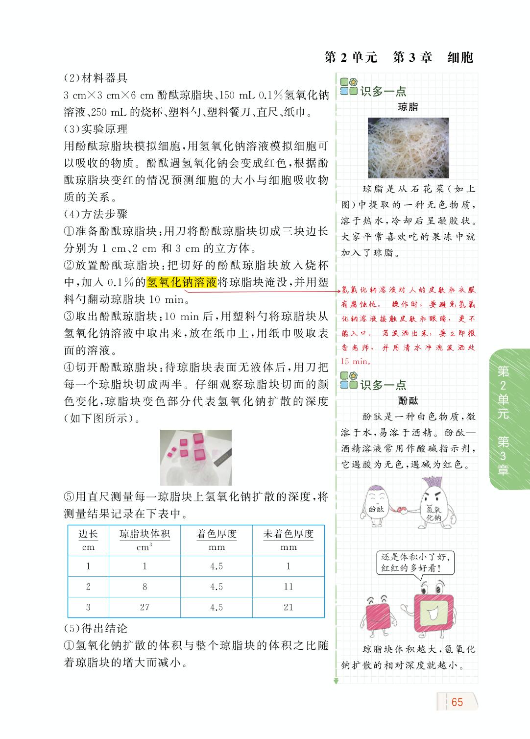 2.3.3 细胞通过分裂而增殖-【教材解读】2023秋七年级上册初一生物（北师大版)