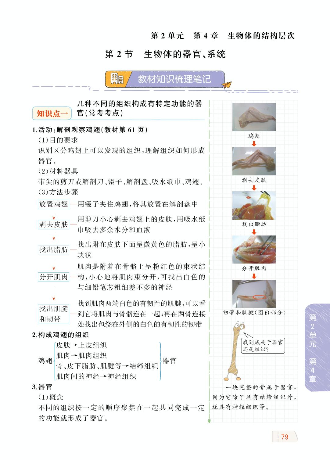 2.4.2 生物体的器官、系统-【教材解读】2023秋七年级上册初一生物（北师大版)