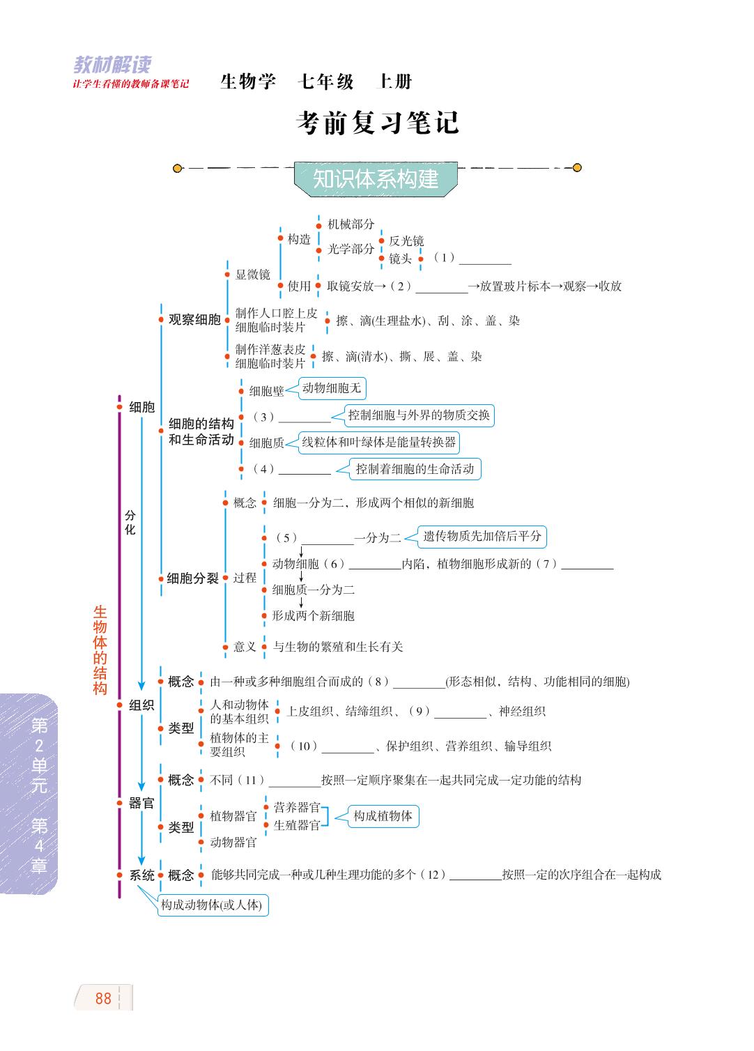第2单元 生物体的结构 考前复习笔记-【教材解读】2023秋七年级上册初一生物（北师大版)
