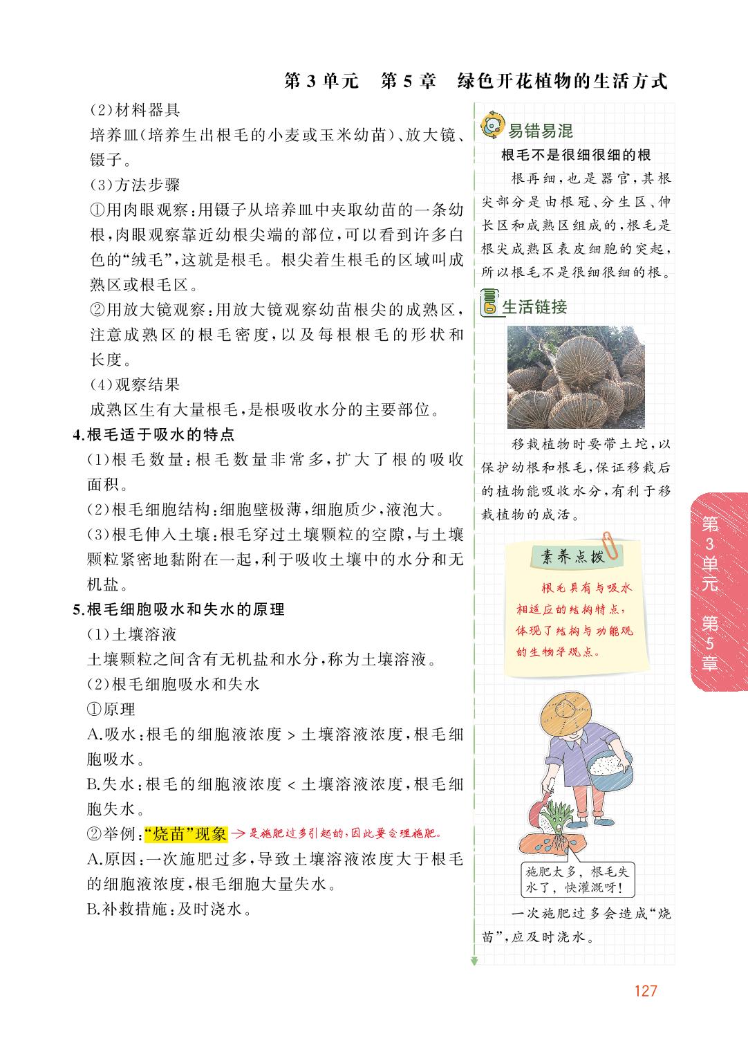 3.5.3 吸收作用-【教材解读】2023秋七年级上册初一生物（北师大版)