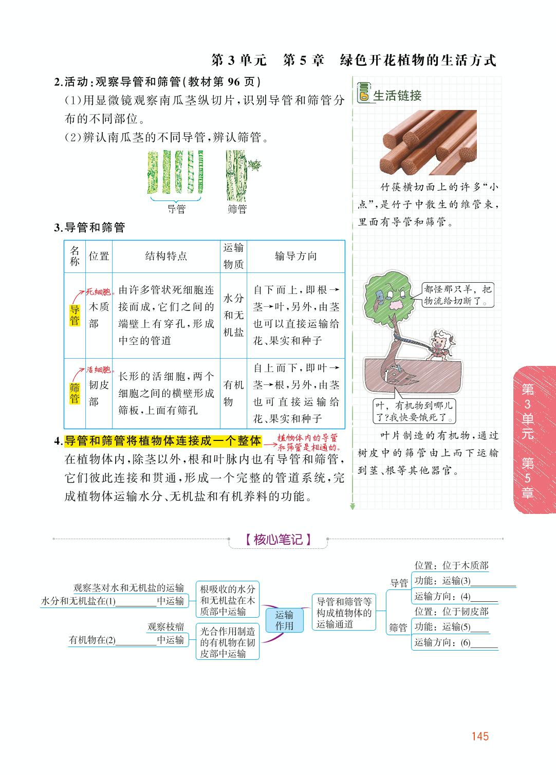 3.5.5 运输作用-【教材解读】2023秋七年级上册初一生物（北师大版)