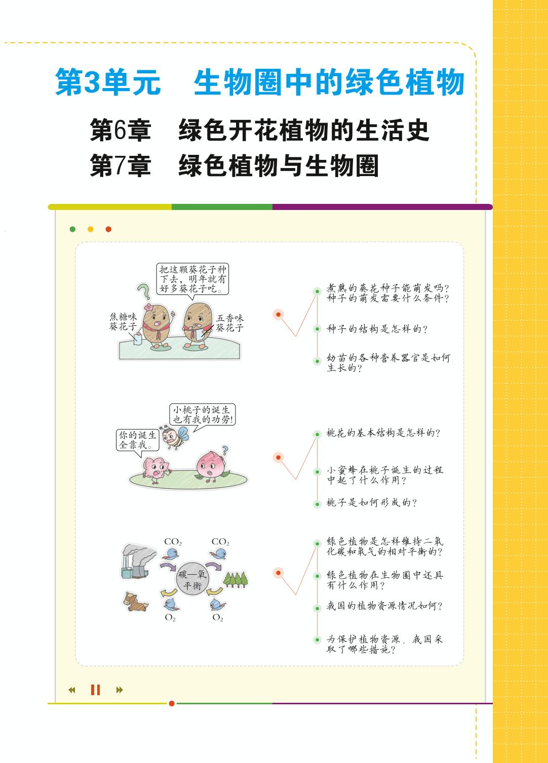 3.6.1 种子萌发形成幼苗-【教材解读】2023秋七年级上册初一生物（北师大版)