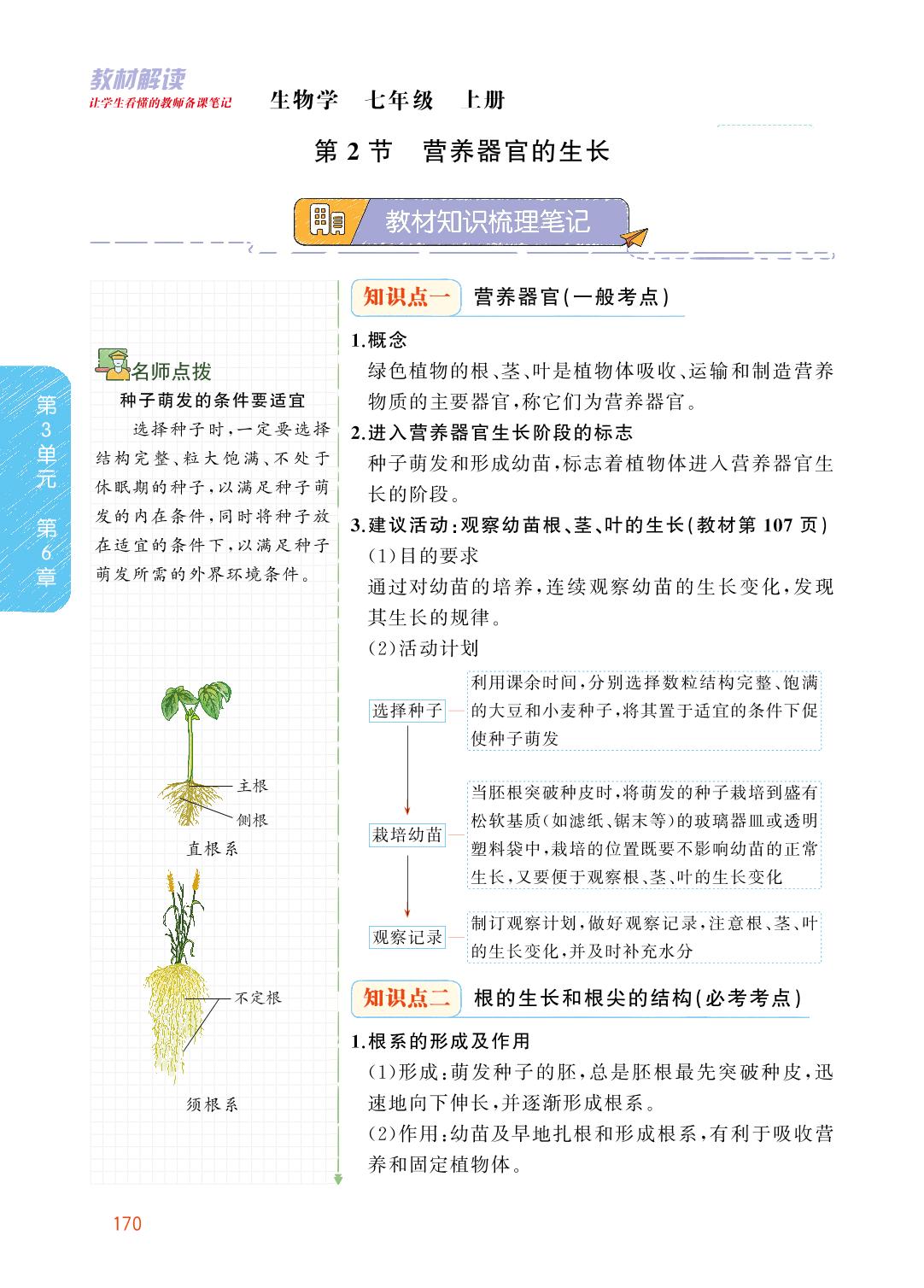 3.6.2 营养器官的生长-【教材解读】2023秋七年级上册初一生物（北师大版)