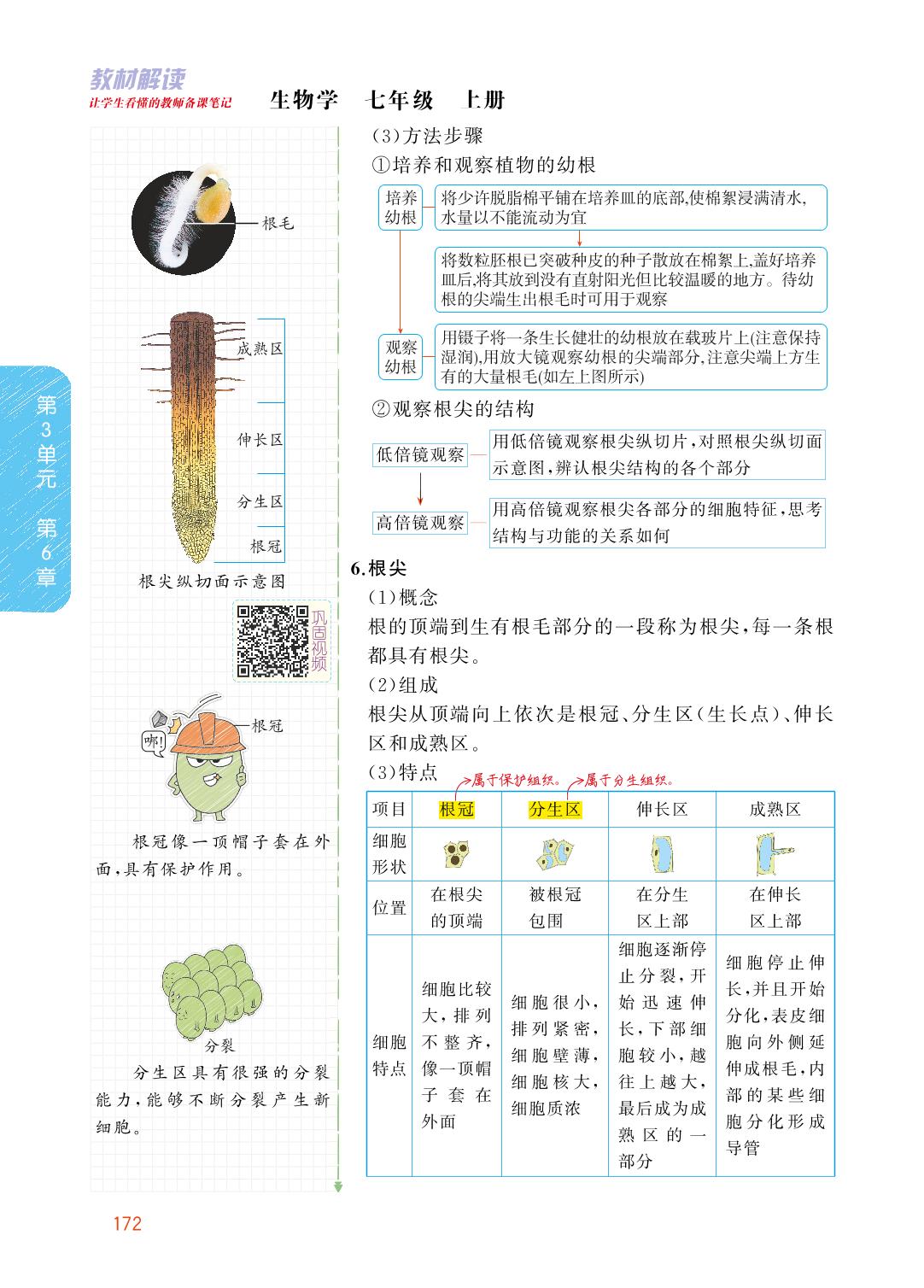 3.6.2 营养器官的生长-【教材解读】2023秋七年级上册初一生物（北师大版)