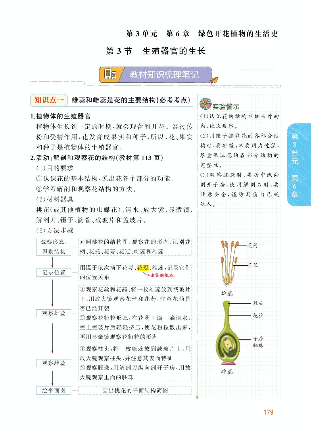 3.6.3 生殖器官的生长-【教材解读】2023秋七年级上册初一生物（北师大版)