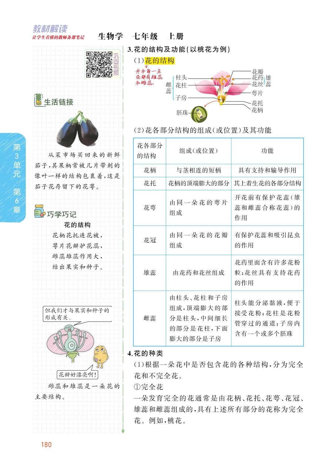 3.6.3 生殖器官的生长-【教材解读】2023秋七年级上册初一生物（北师大版)