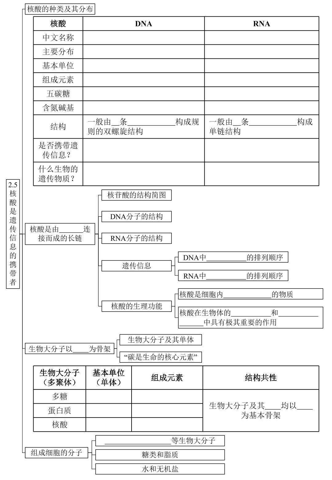 2.5 核酸是遗传信息的携带者- 2023-2024学年高一生物同步必背精编思维导图（人教版2019必修1）
