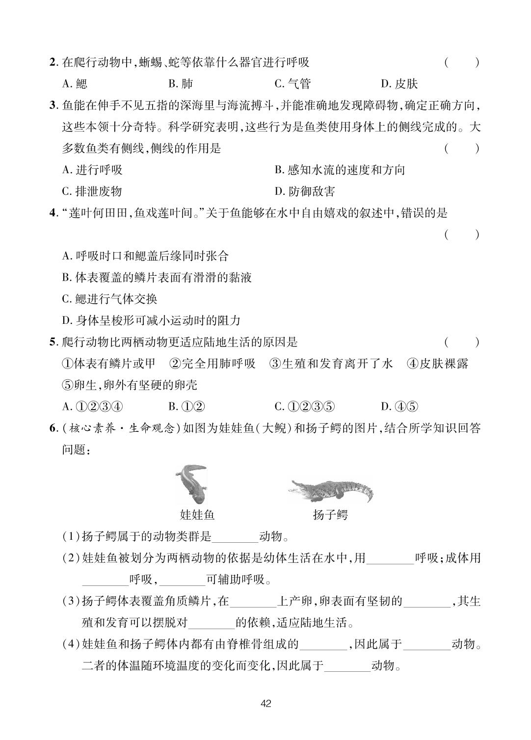 第2单元 第2章 第2节 脊椎动物的主要类群-【一课通】2023-2024学年七年级上册生物随堂小练习(济南版)