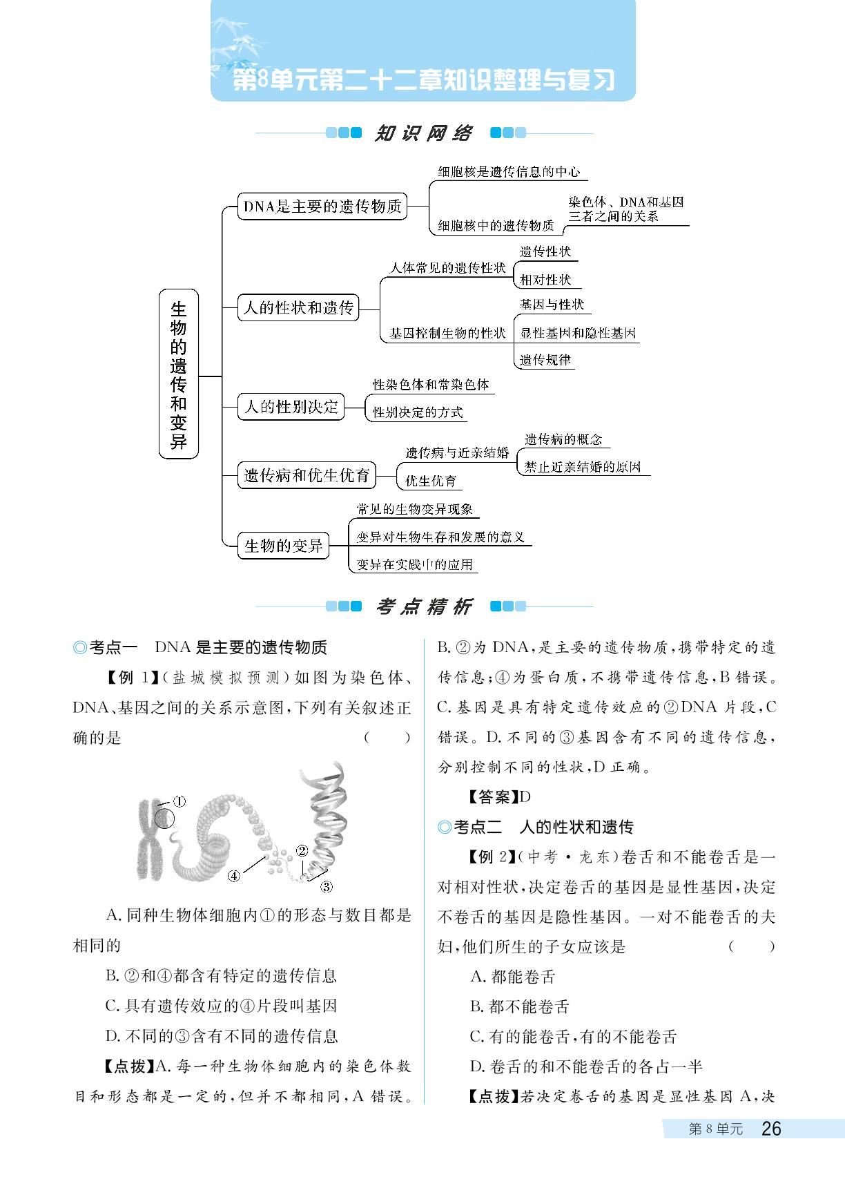 第8单元 第二十二章 生物的遗传和变异 知识整理与复习-【探究在线】2023-2024学年八年级下册生物高效课堂导学案（苏教版）