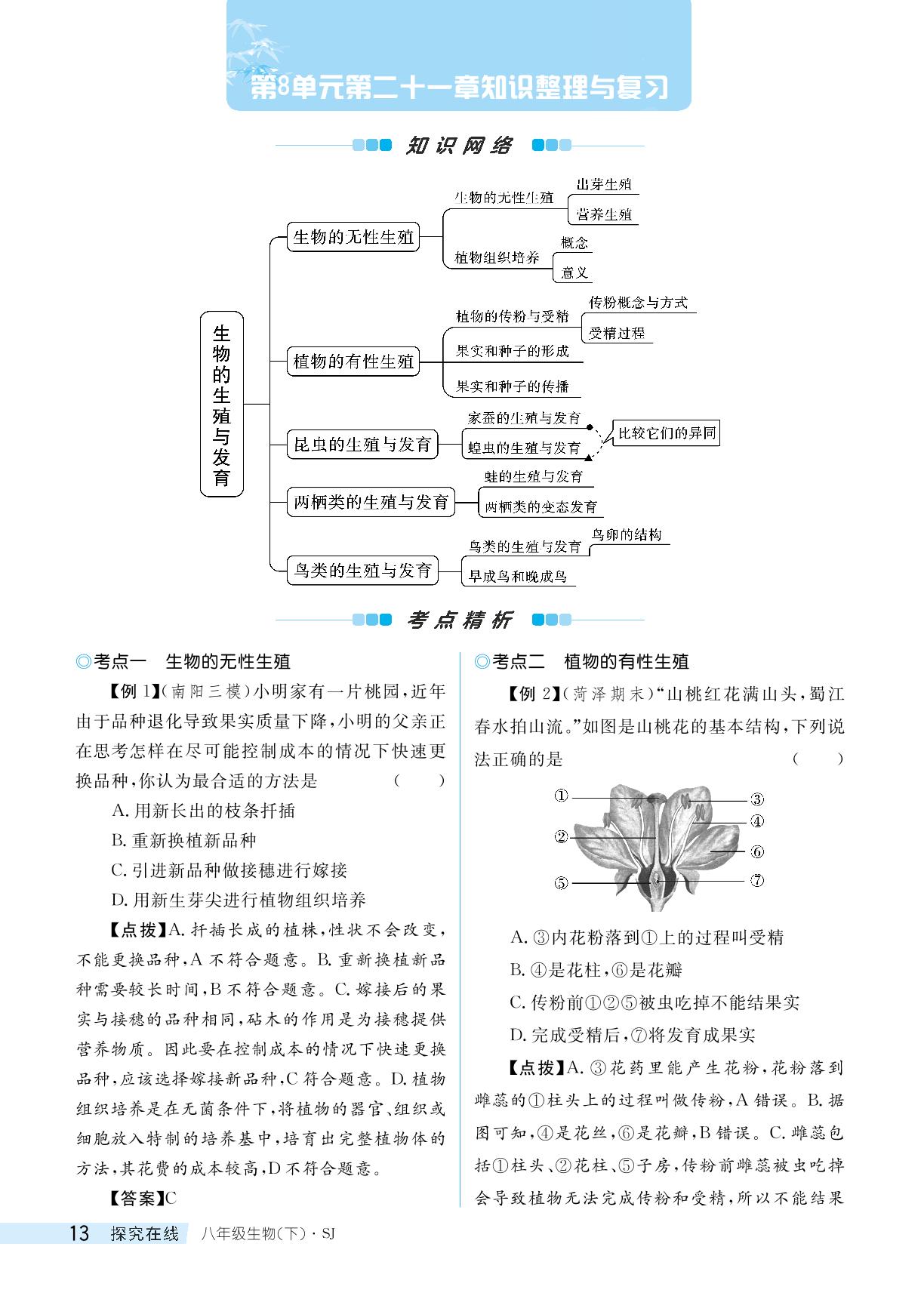 第8单元 第二十一章 生物的生殖与发育 知识整理与复习-【探究在线】2023-2024学年八年级下册生物高效课堂导学案（苏教版）