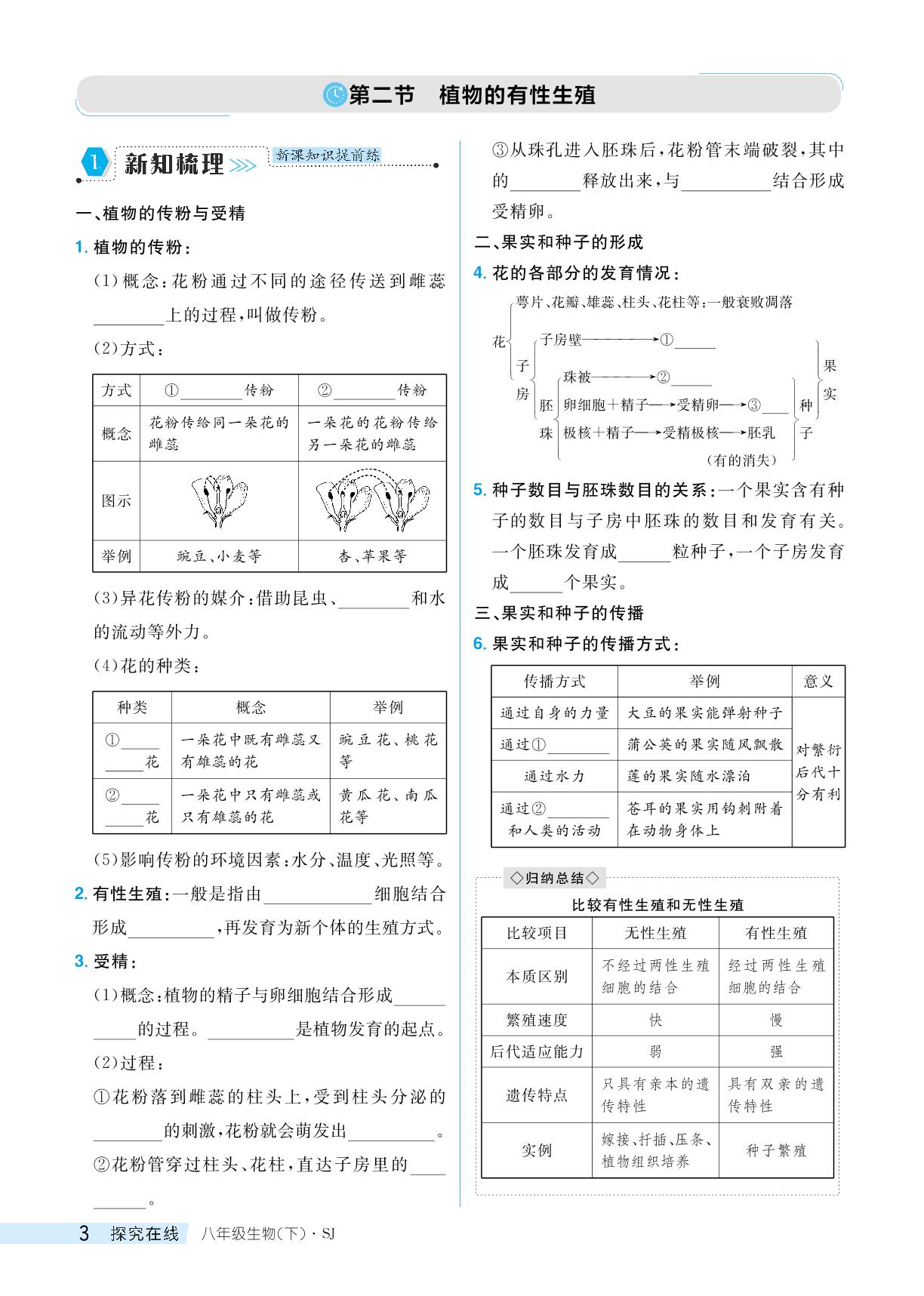 21.2 植物的有性生殖-【探究在线】2023-2024学年八年级下册生物高效课堂导学案（苏教版）