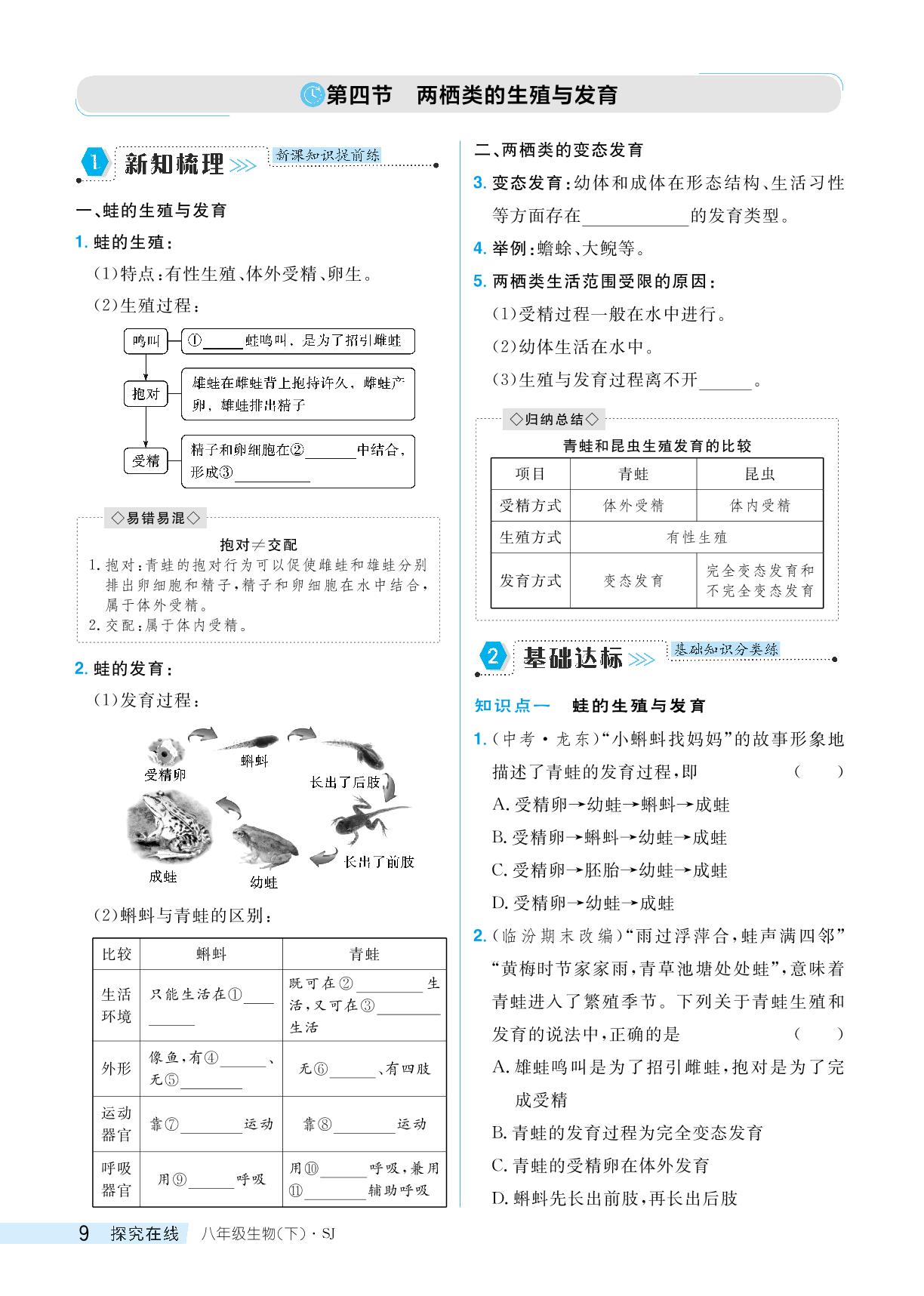 21.4 两栖类的生殖与发育-【探究在线】2023-2024学年八年级下册生物高效课堂导学案（苏教版）