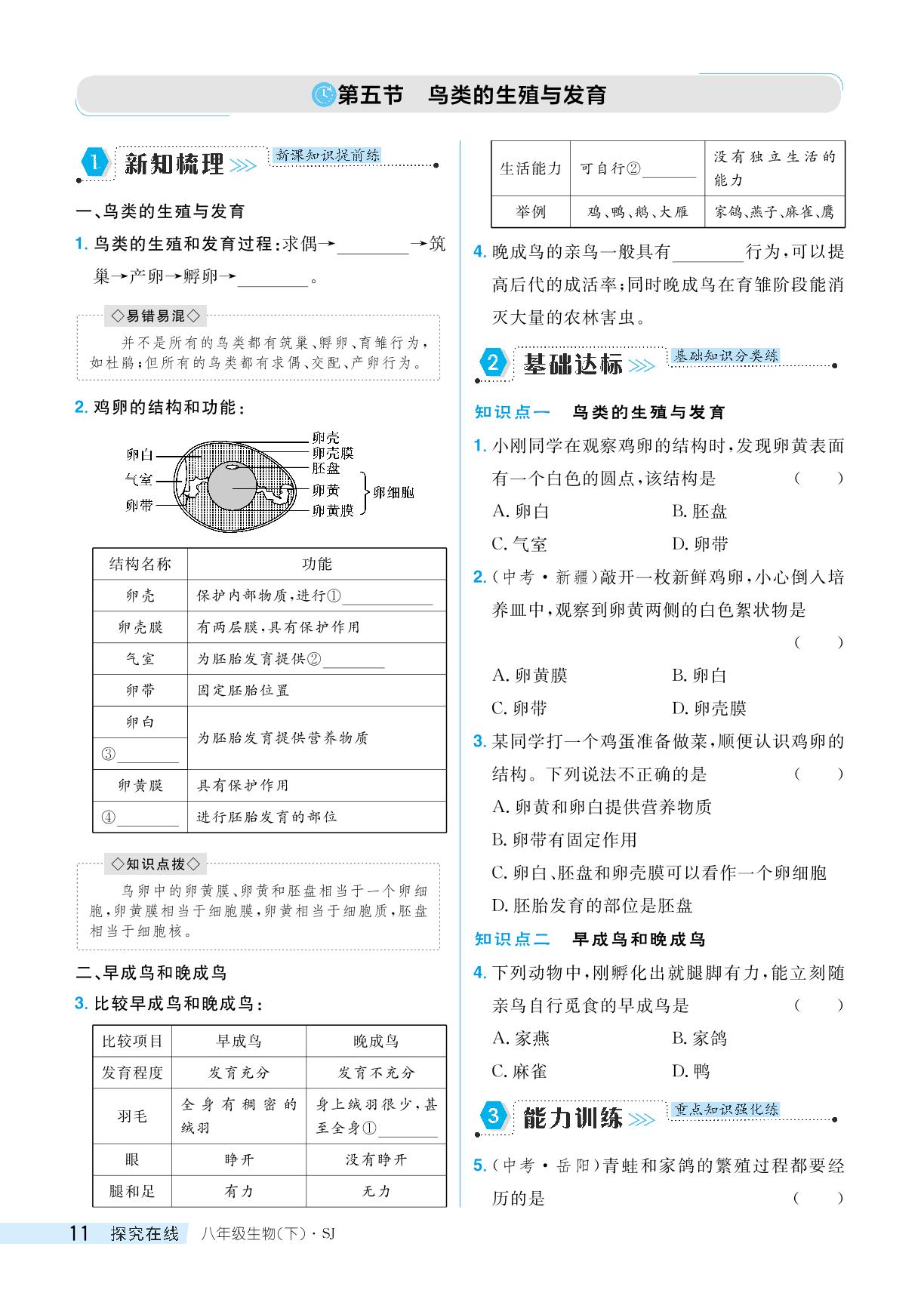 21.5 鸟类的生殖与发育-【探究在线】2023-2024学年八年级下册生物高效课堂导学案（苏教版）