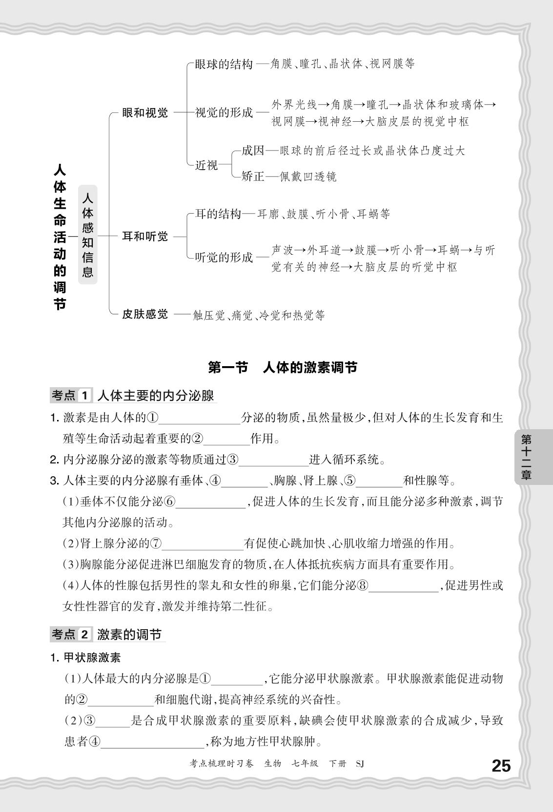 第十二、十三章 考点梳理-【王朝霞·考点梳理时习卷】2023-2024学年七年级下册生物（苏教版）