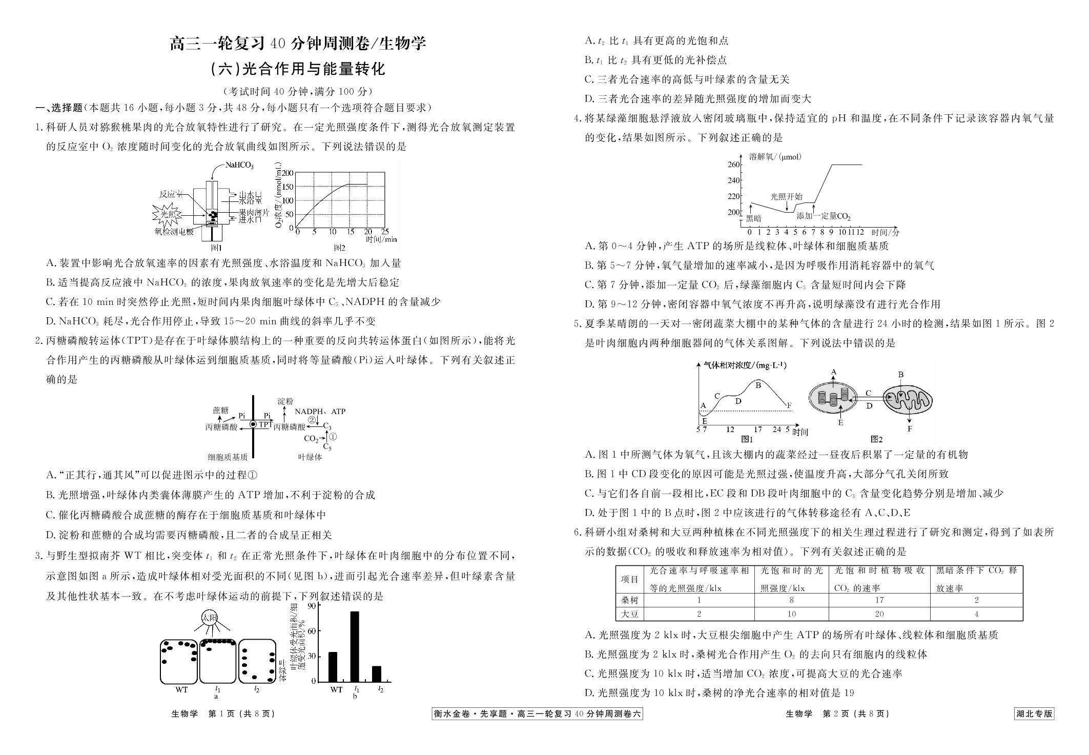 (六)光合作用与能量转化-【衡水金卷·先享题】2024年高三生物一轮复习40分钟周测卷（新高考 湖北专版）