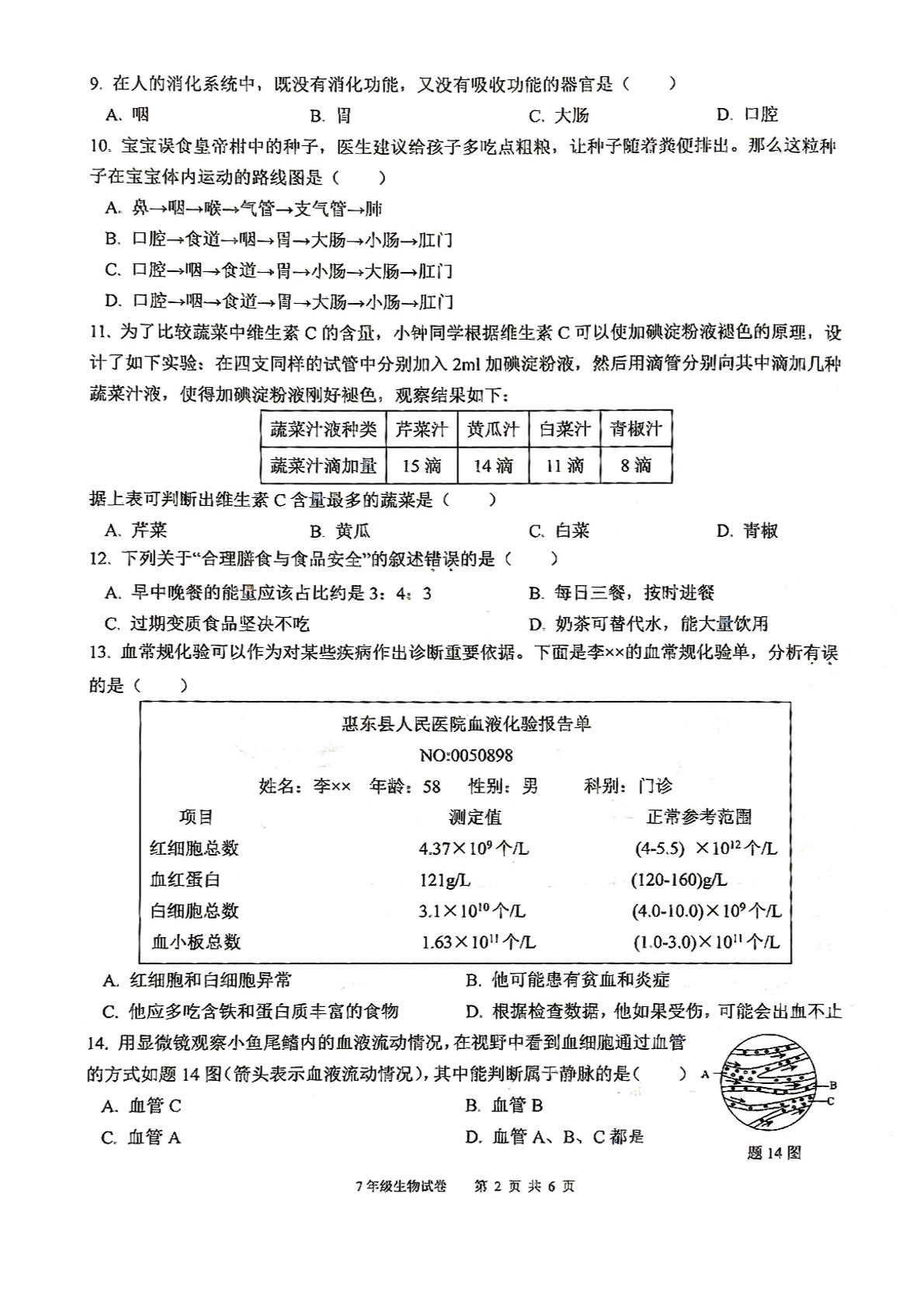 广东省惠州市惠东县2023-2024学年七年级下学期4月期中生物试题