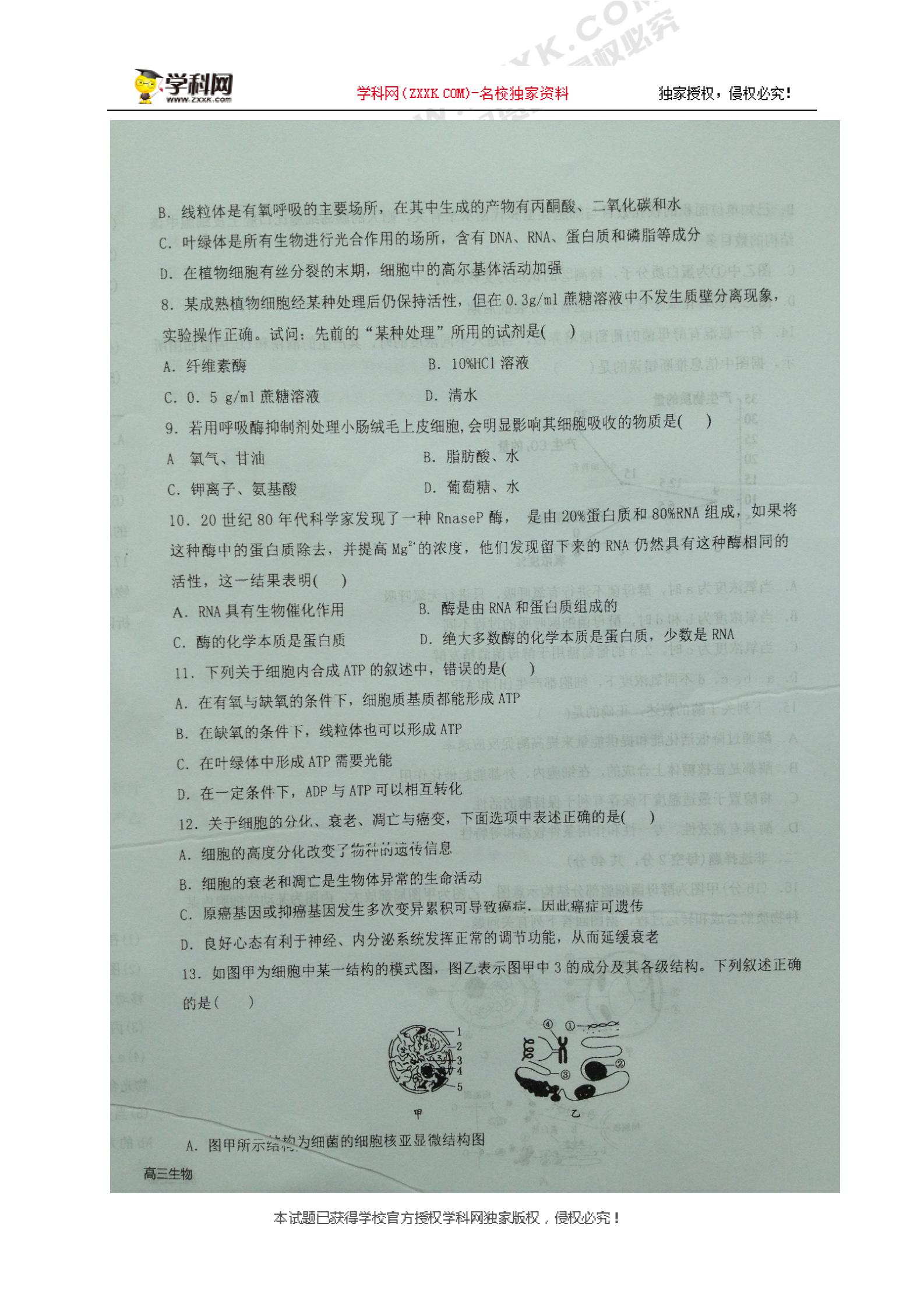 []甘肃省白银市靖远县第四中学2019届高三10月月考生物（理）试题（图片版）