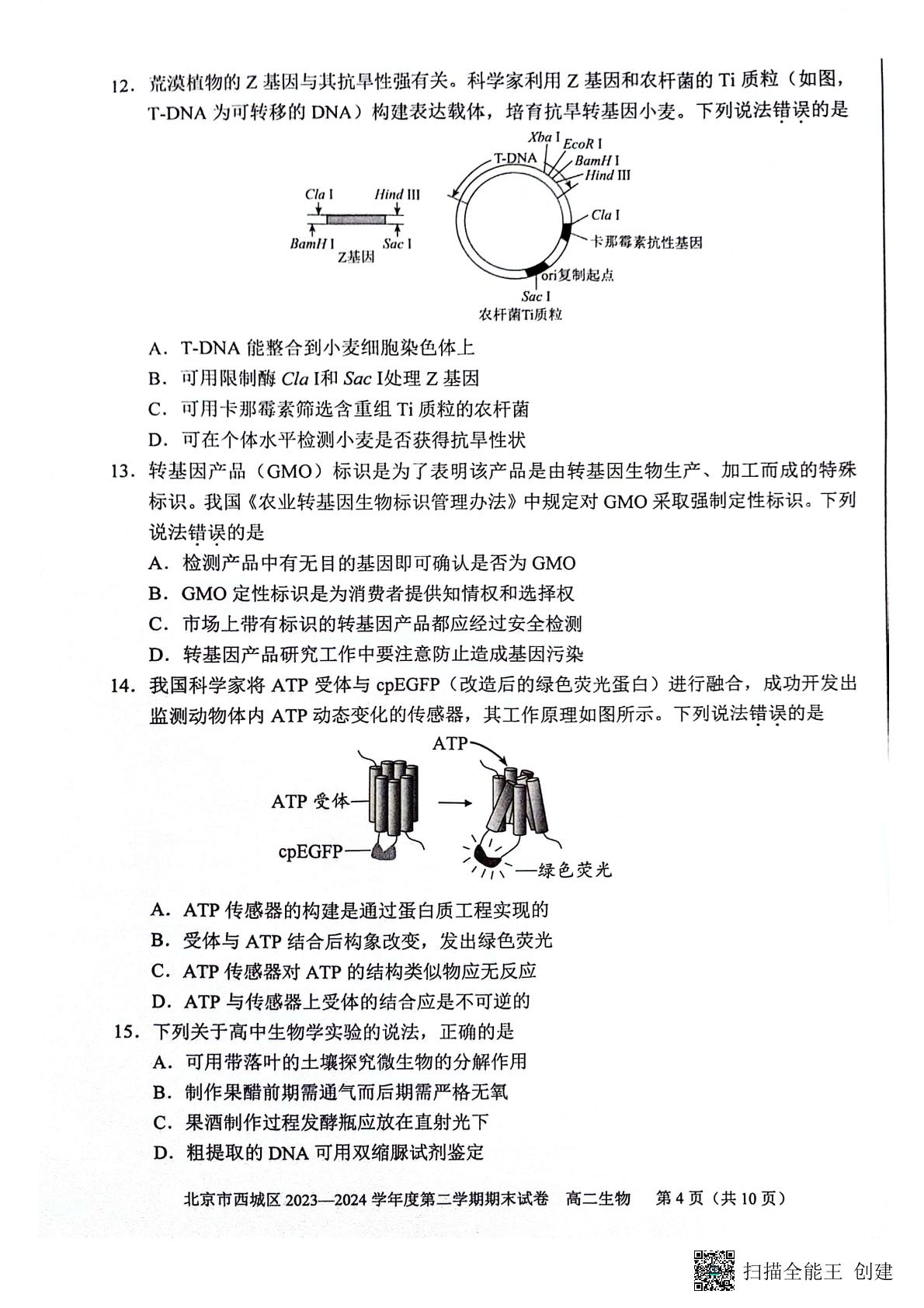 北京市西城区2023-2024学年高二下学期7月期末考试生物试题