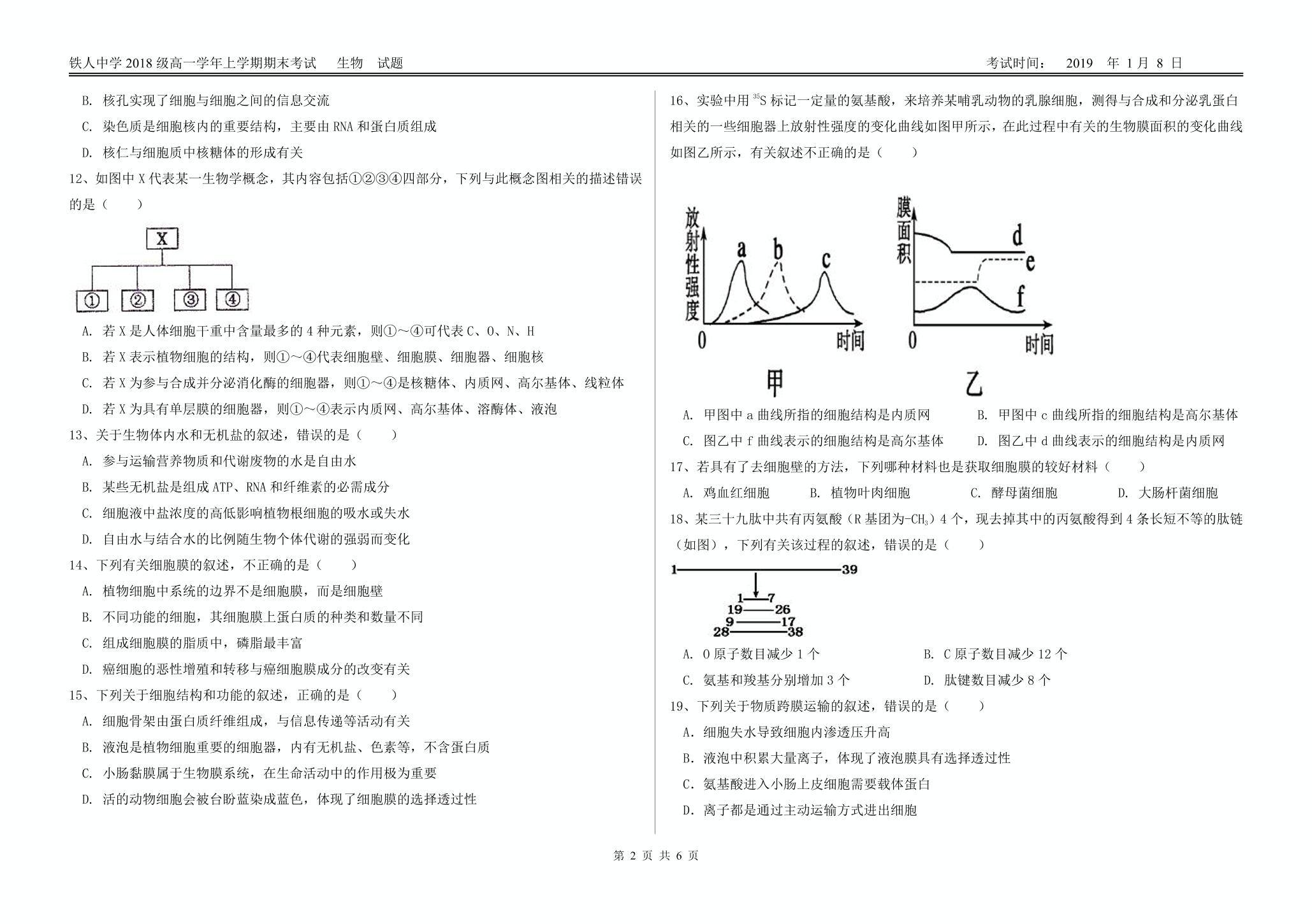 黑龙江省大庆铁人中学2018-2019学年高一上学期期末考试生物试题（PDF版）