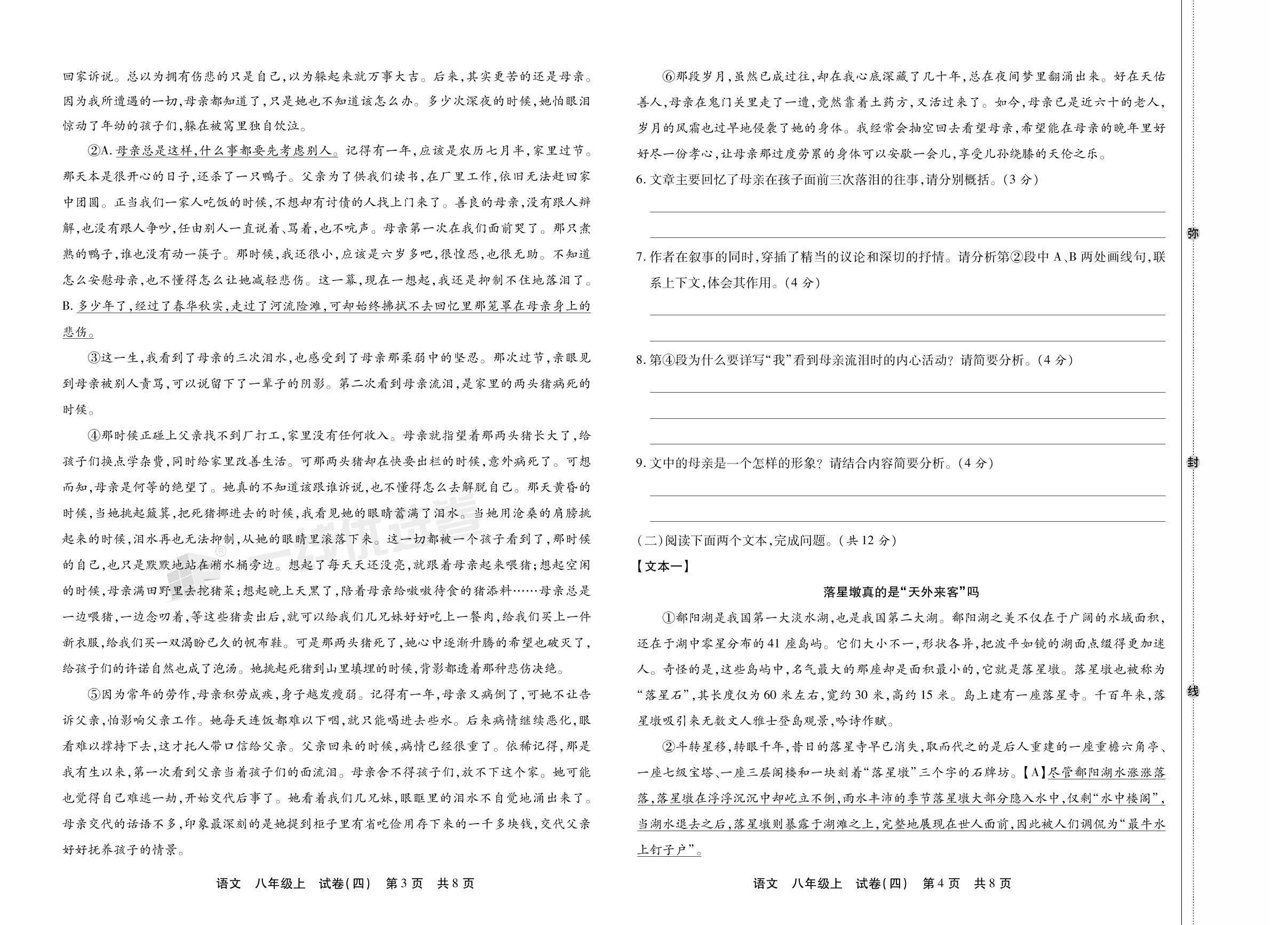 试卷四 河南省平顶山市2022-2023学年上学期期末检测试题卷-【一线优选卷】2023-2024学年八年级上册语文期末冲刺