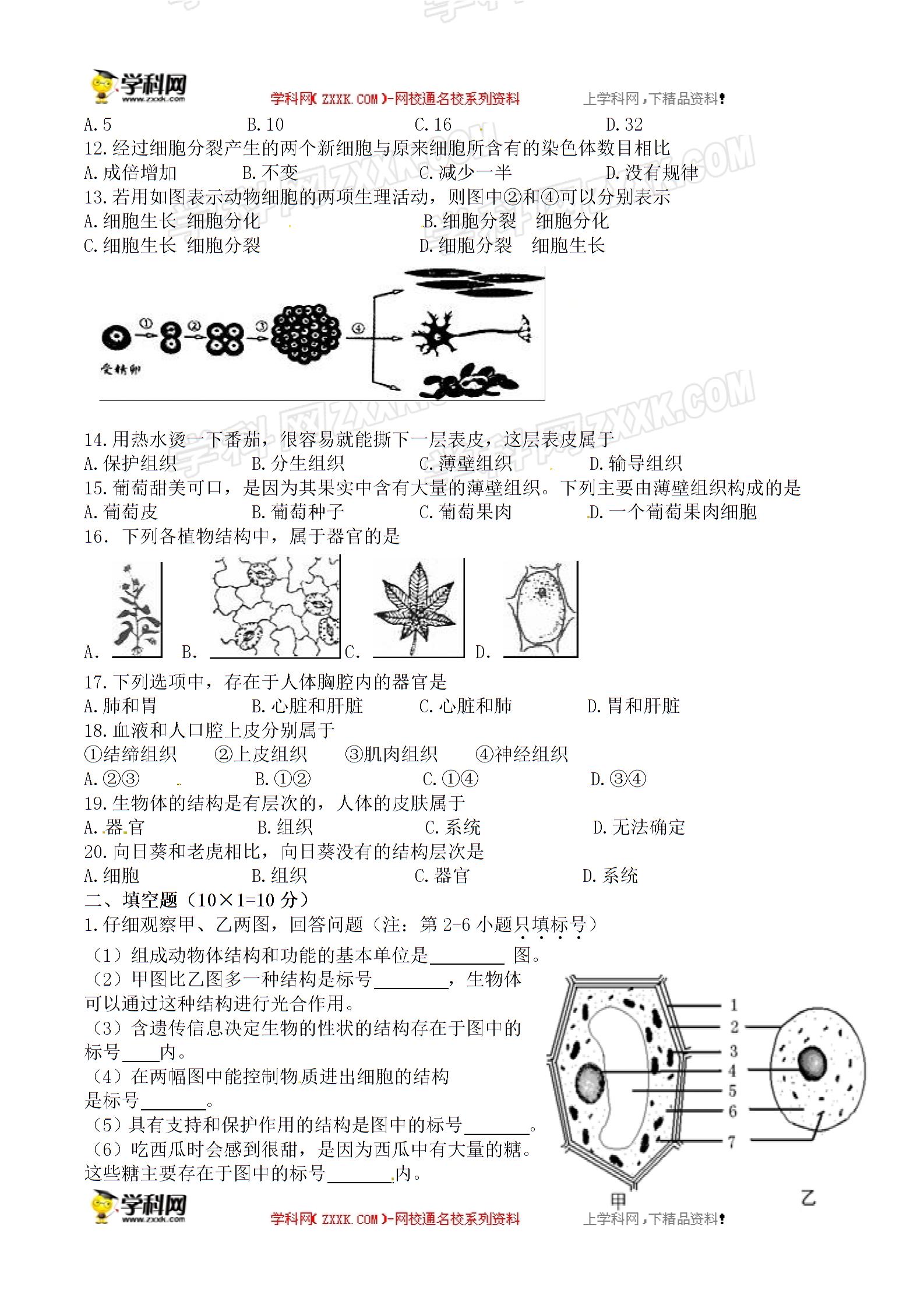 []江苏省徐州市科技中学2016-2017学年七年级下学期第一次（3月）月考生物试题