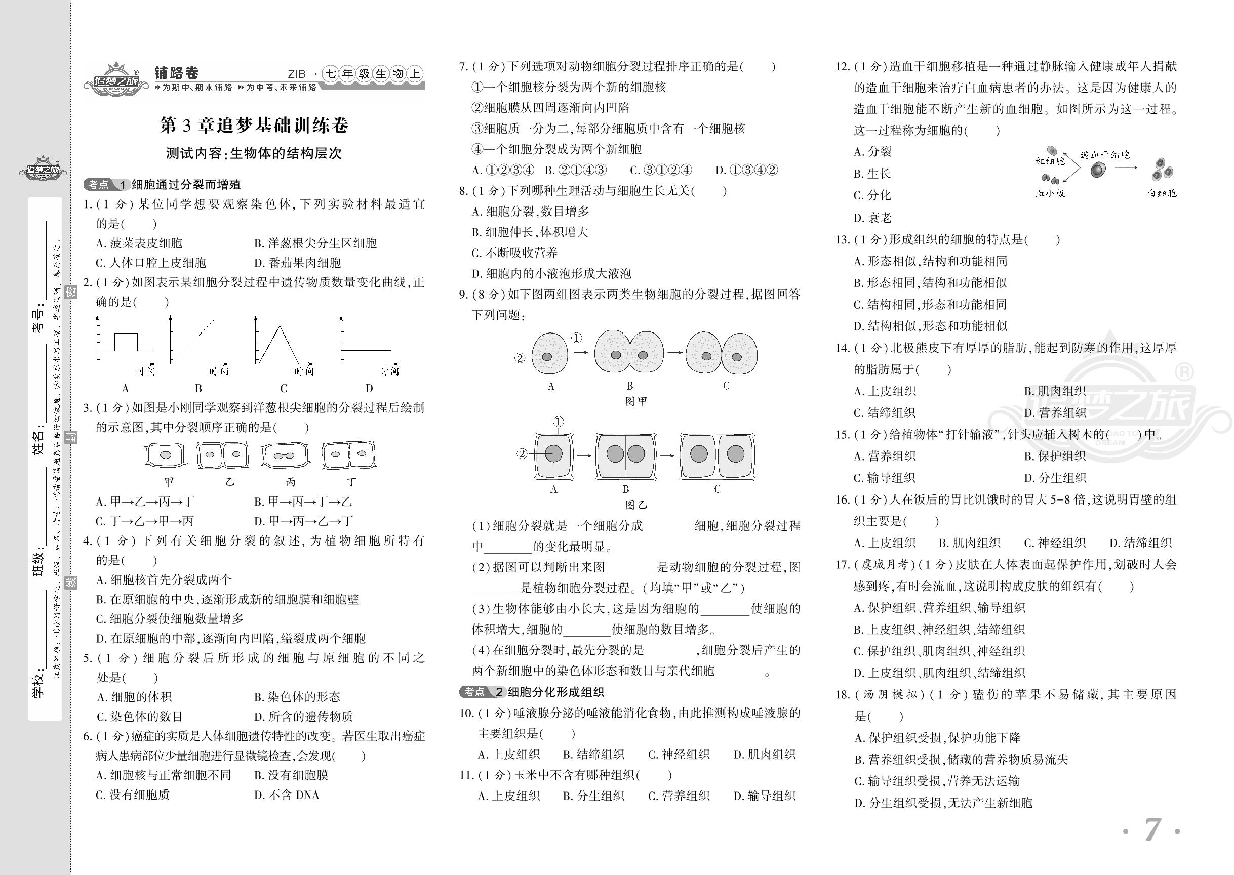 第3章 生物体的结构层次 追梦基础训练卷-【追梦之旅·初中铺路卷】 2024-2025学年新教材七年级上册生物（北师大版2024）