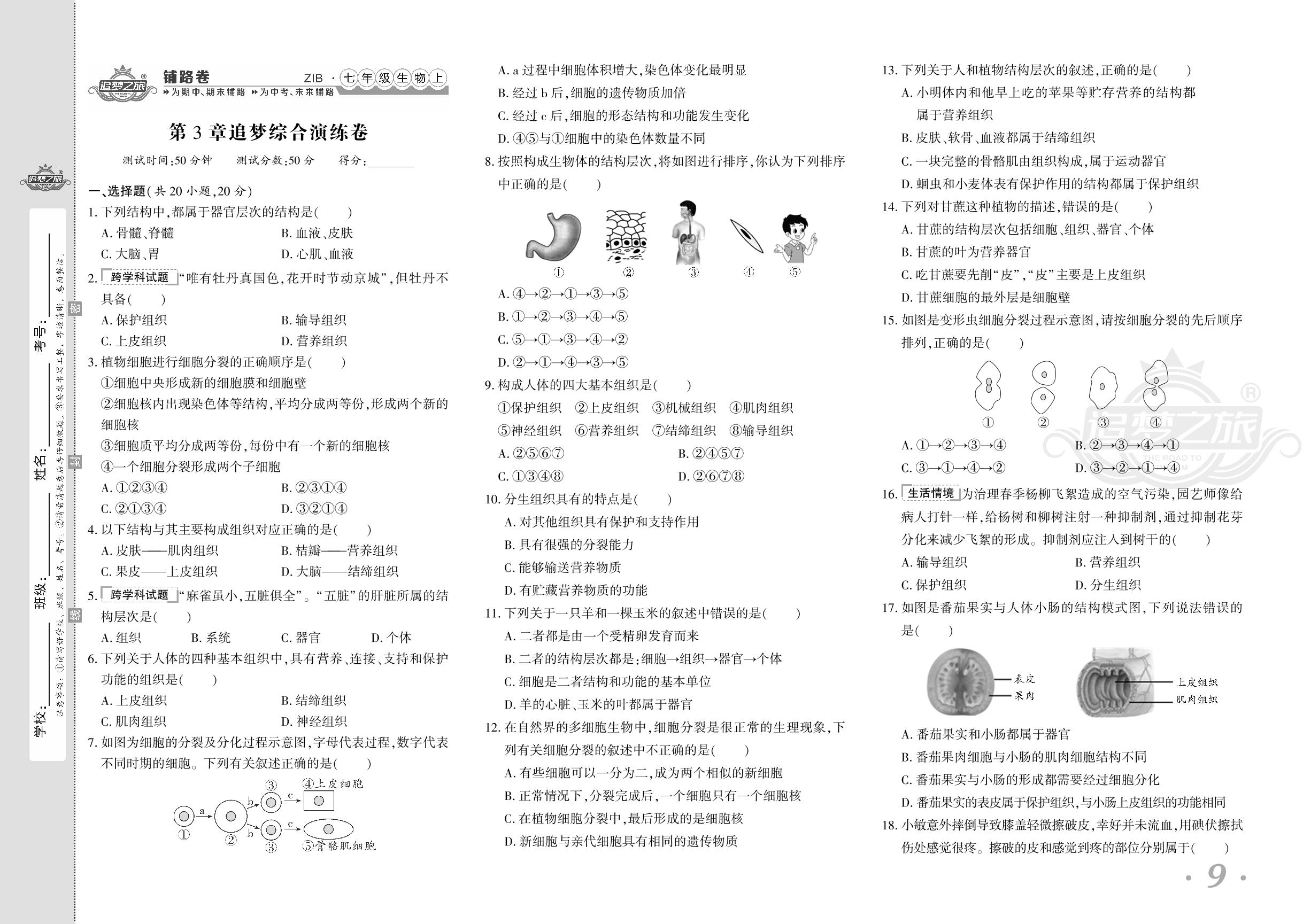 第3章 生物体的结构层次 追梦综合演练卷-【追梦之旅·初中铺路卷】 2024-2025学年新教材七年级上册生物（北师大版2024）
