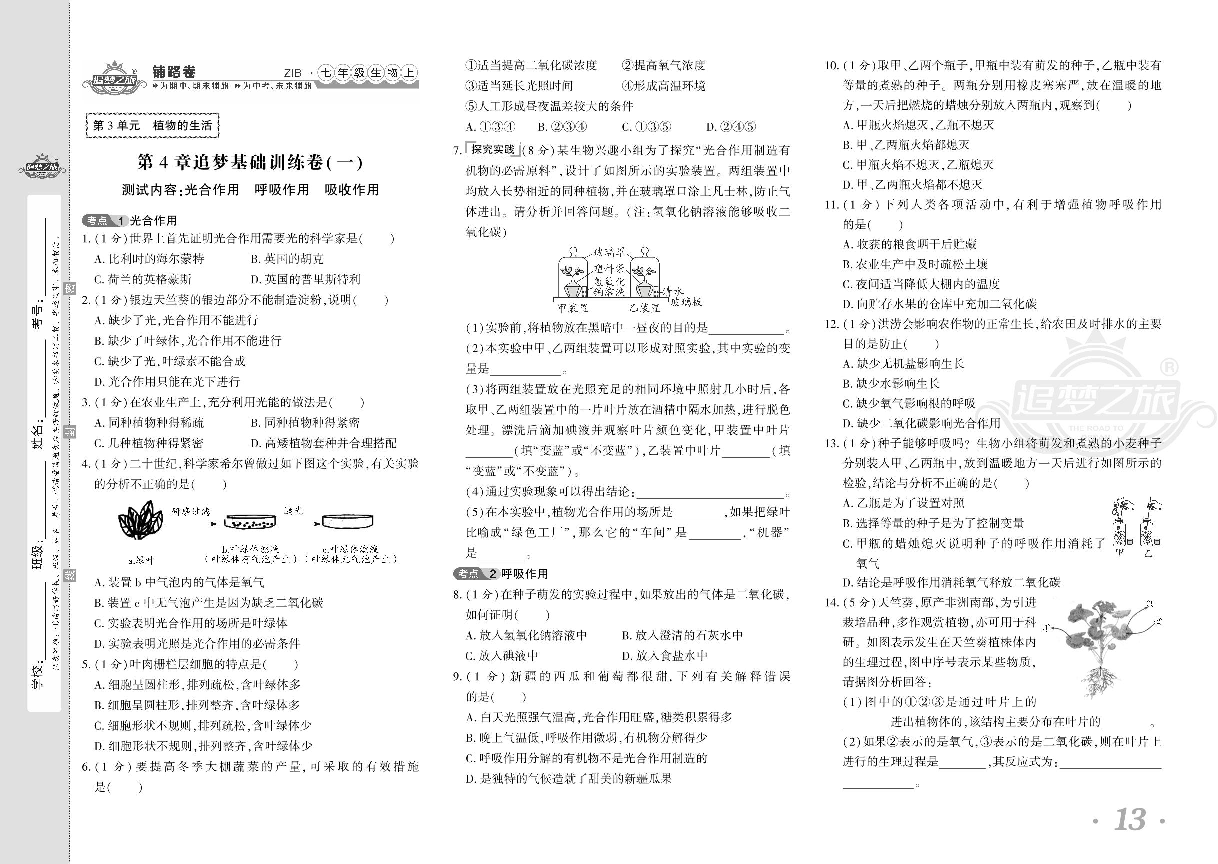 第4章 绿色开花植物的生活方式 追梦基础训练卷(一)-【追梦之旅·初中铺路卷】 2024-2025学年新教材七年级上册生物（北师大版2024）