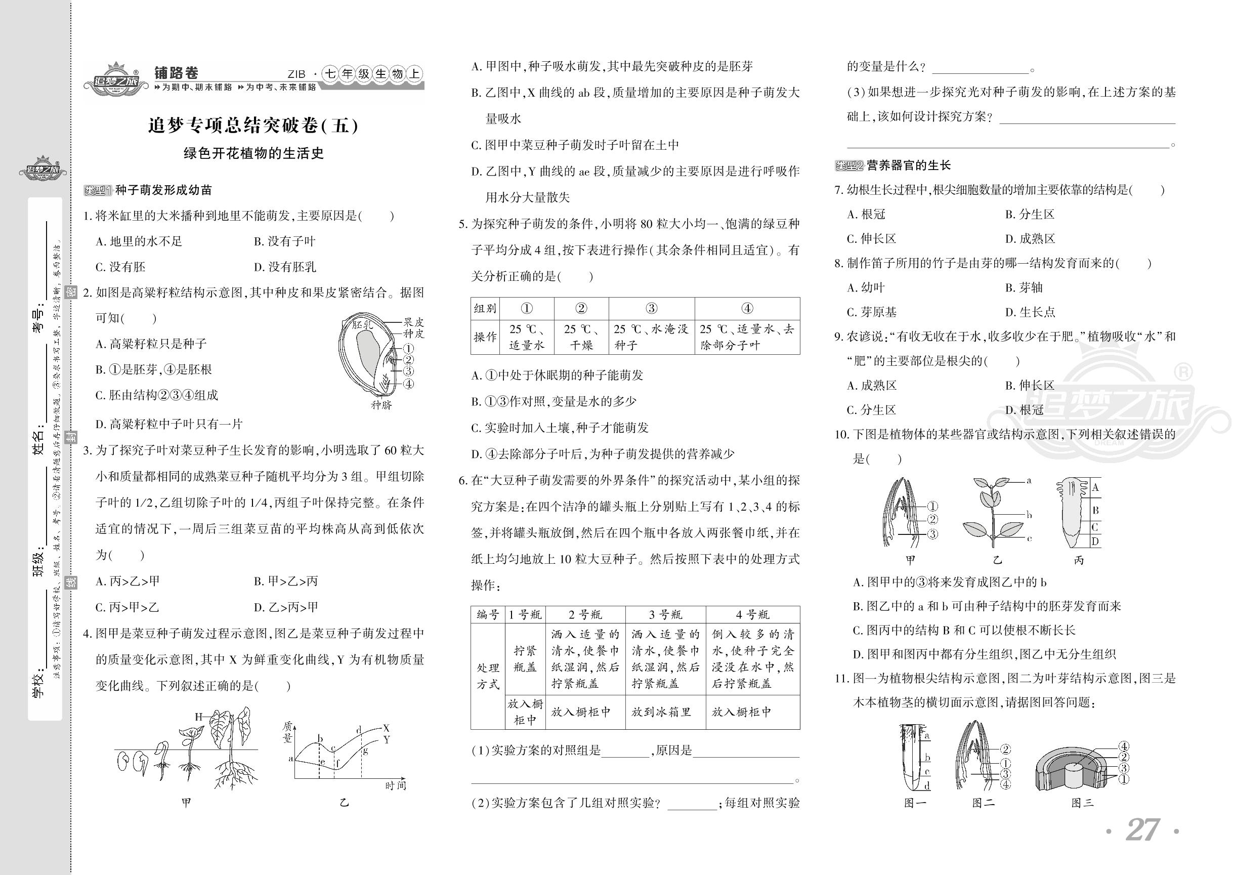 追梦专项总结突破卷(五)绿色开花植物的生活史-【追梦之旅·初中铺路卷】 2024-2025学年新教材七年级上册生物（北师大版2024）