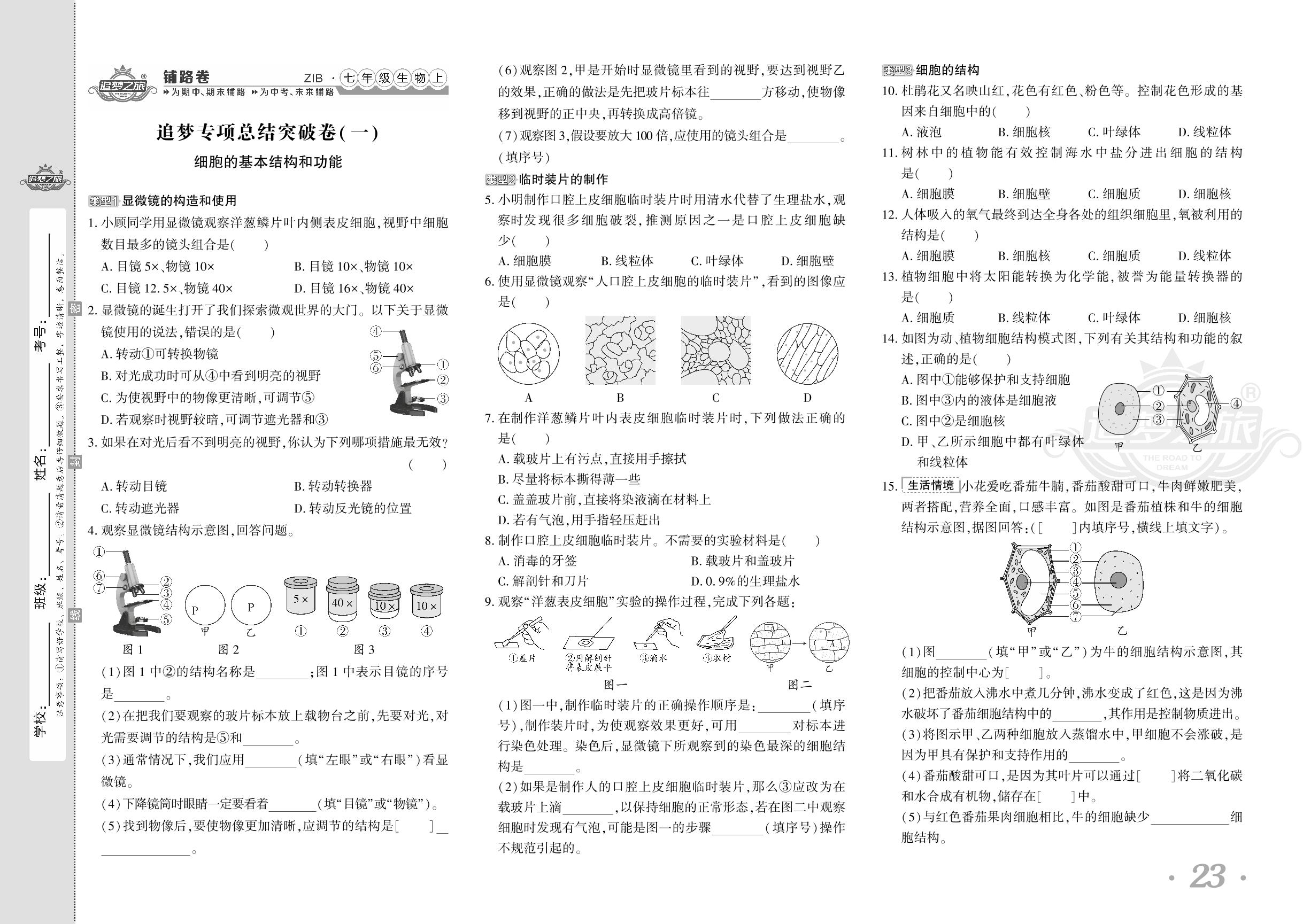追梦专项总结突破卷(一)细胞的基本结构和功能&(二)细胞的活动及分裂-【追梦之旅·初中铺路卷】 2024-2025学年新教材七年级上册生物（北师大版2024）