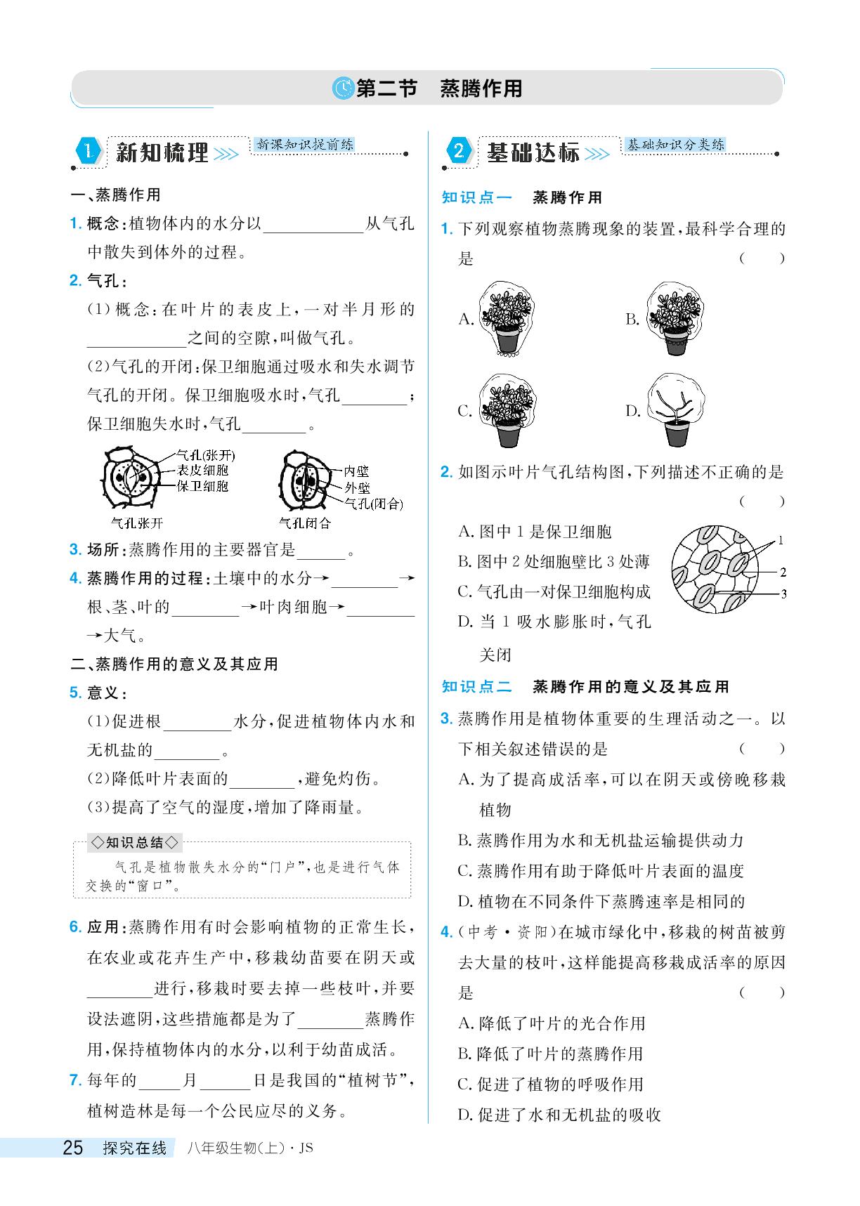 第二节蒸腾作用-【探究在线】2024-2025学年八年级上册生物高效课堂导学案（冀少版）