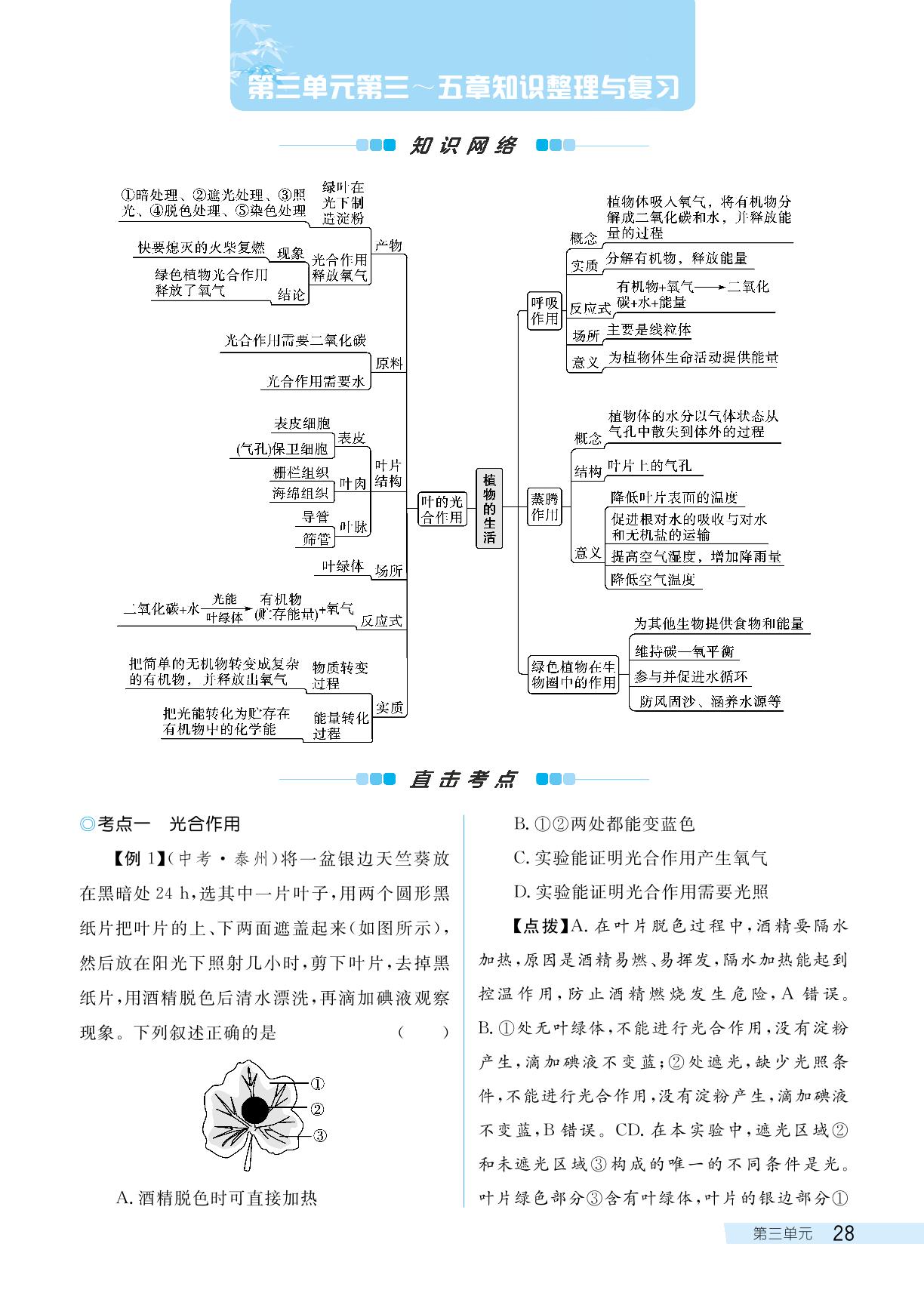 第三单元第三章叶的光合作用～五章绿色植物在生物圈中的作用知识整理与复习-【探究在线】2024-2025学年八年级上册生物高效课堂导学案（冀少版）