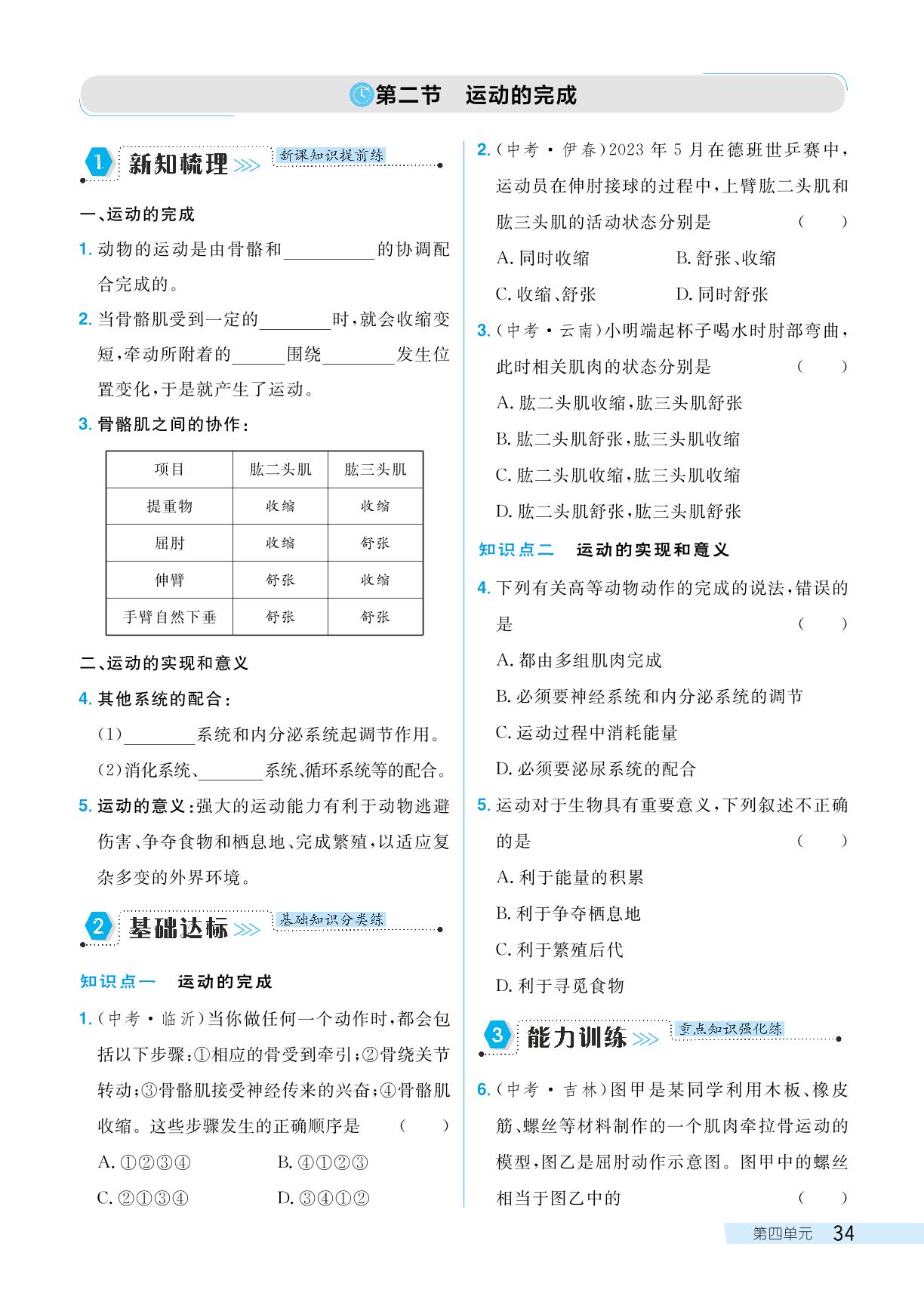 第二节运动的完成-【探究在线】2024-2025学年八年级上册生物高效课堂导学案（冀少版）