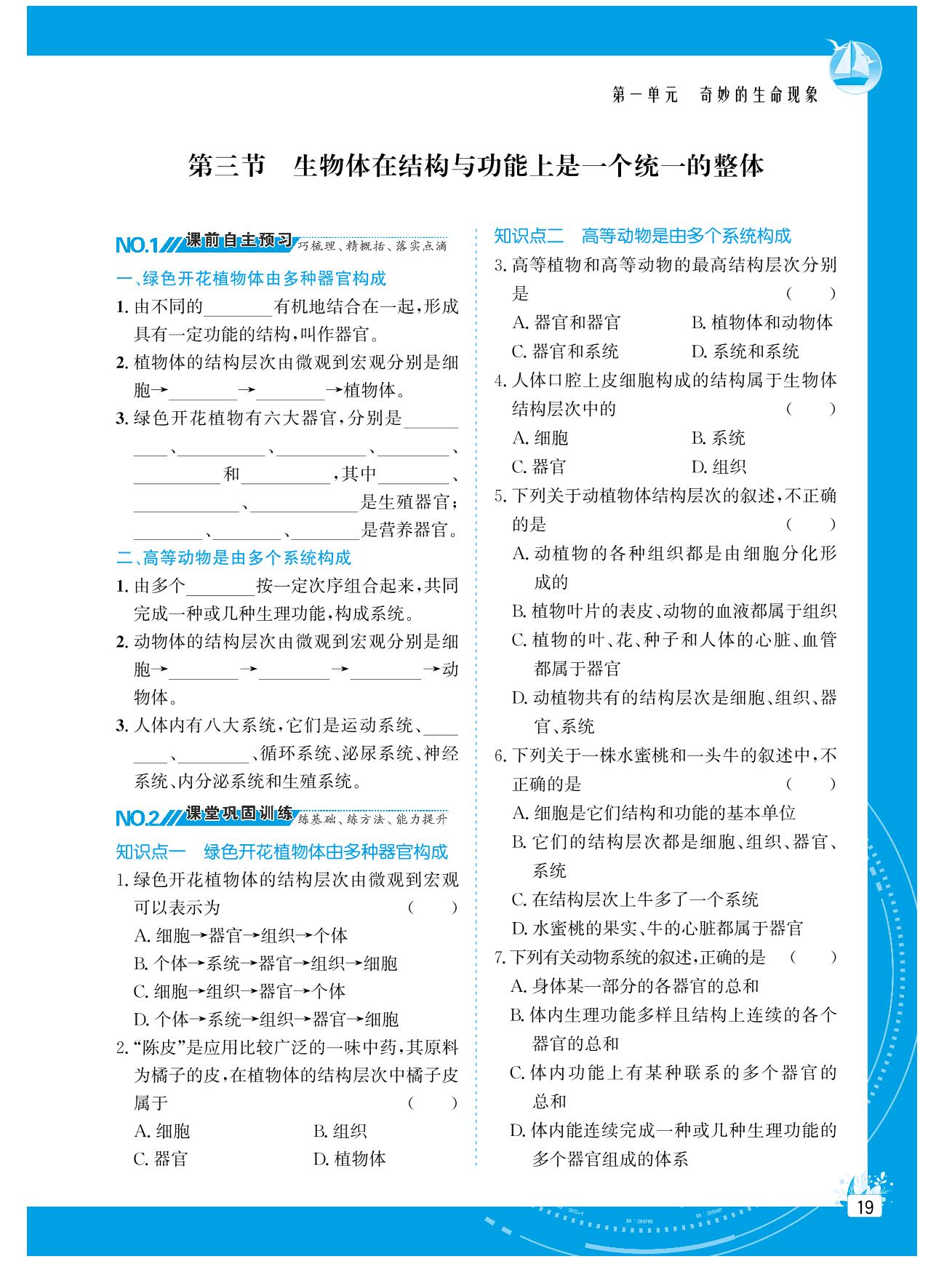 第一单元 第二章 第三节 生物体在结构与功能上是一个统一的整体-【提分教练】2024-2025学年新教材七年级生物上册同步精导优化与设计方案（济南版2024）