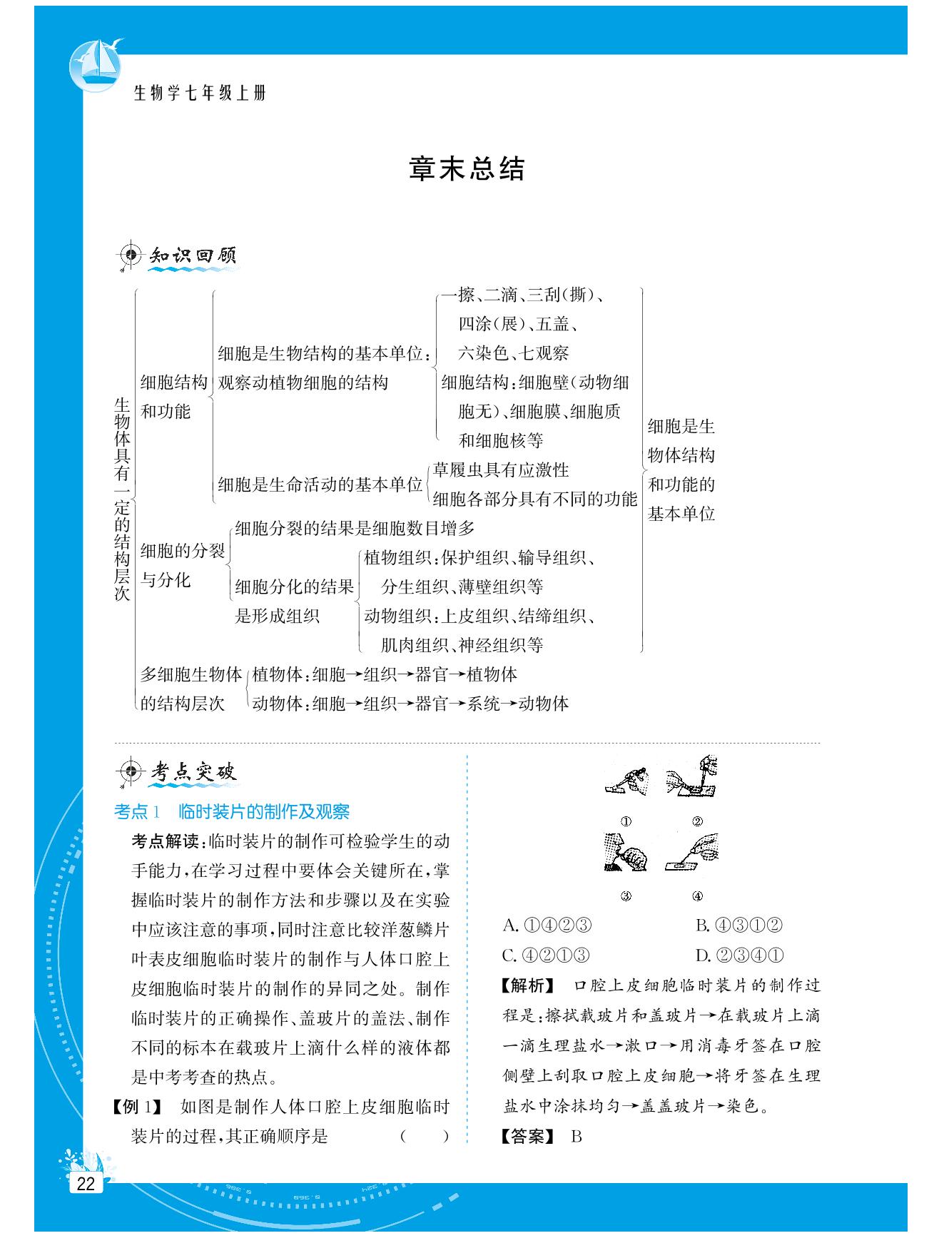 第一单元 第二章 生物体具有一定的结构层次 章末总结-【提分教练】2024-2025学年新教材七年级生物上册同步精导优化与设计方案（济南版2024）
