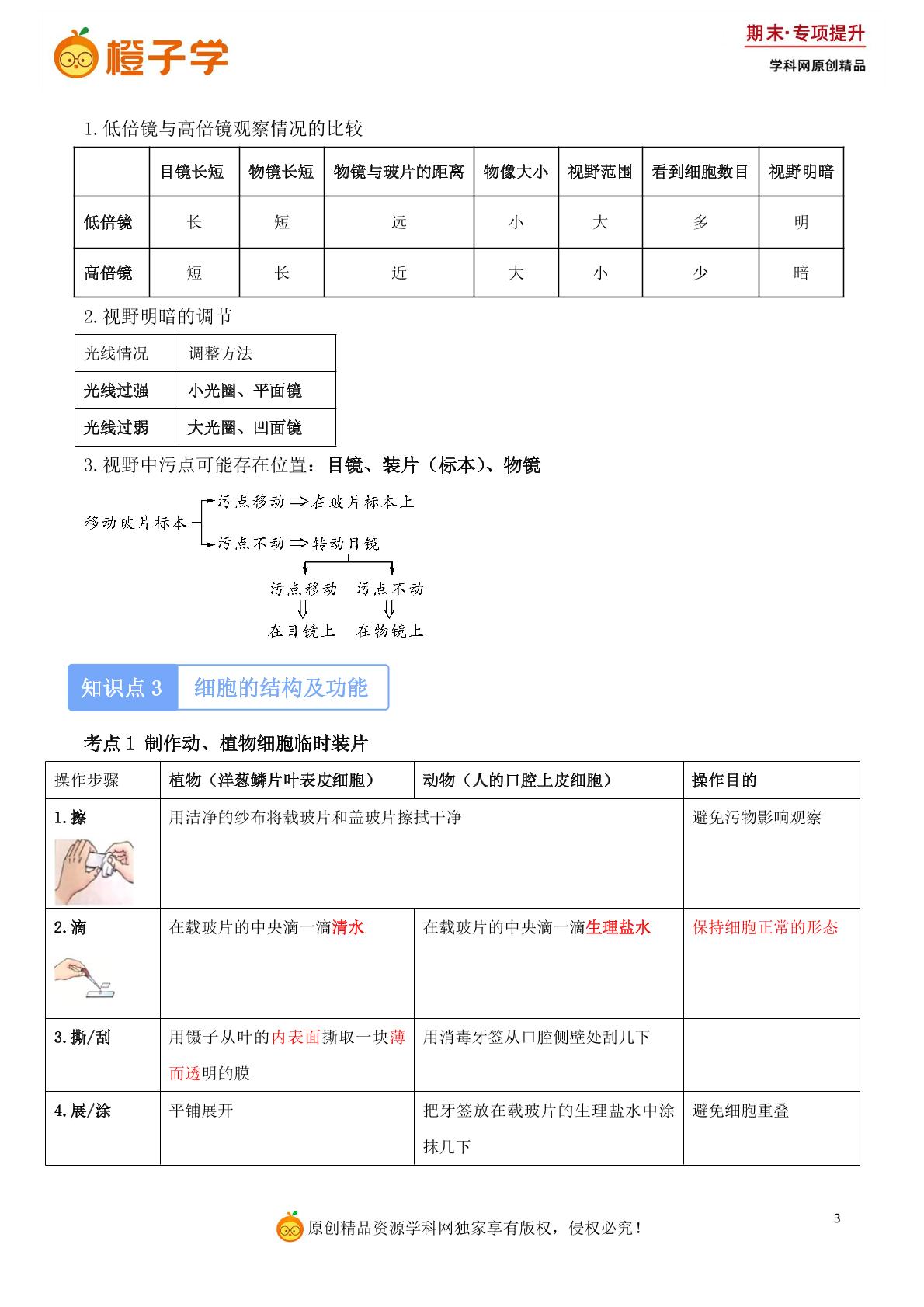 必背知识清单-人教版七年级上册期末专项（初中生物）