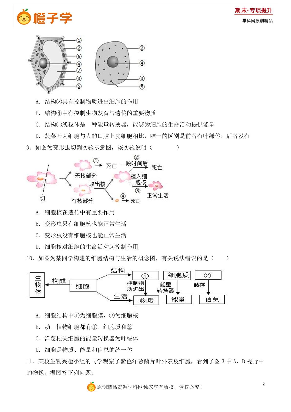专项3 细胞的结构和生活-人教版七年级上册期末专项（初中生物）