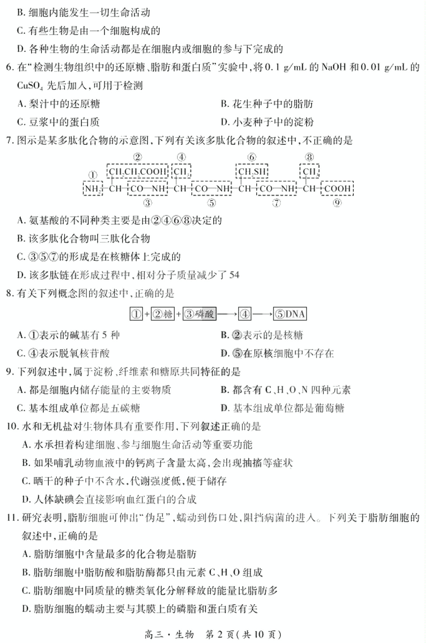黑龙江省哈尔滨市一中2020-2021学年度上学期高三开学测试生物试题 Word版含答案