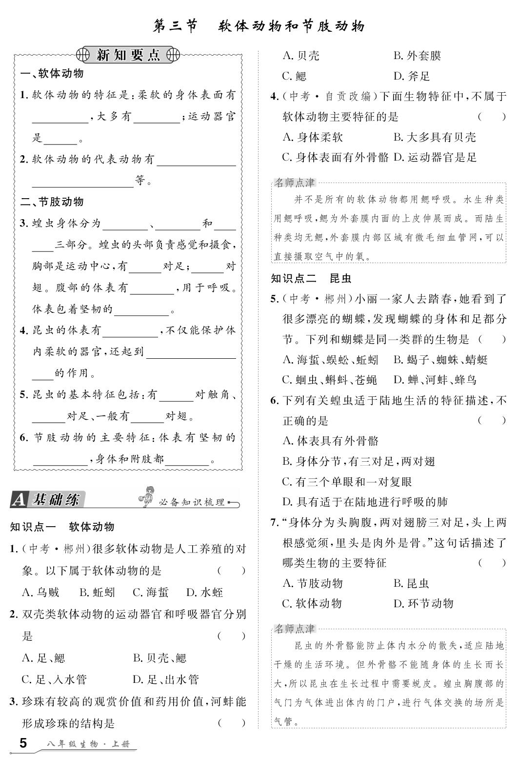 1.3 软体动物和节肢动物-【名师学案】2024-2025学年八年级上册生物分层进阶学习法（人教版）