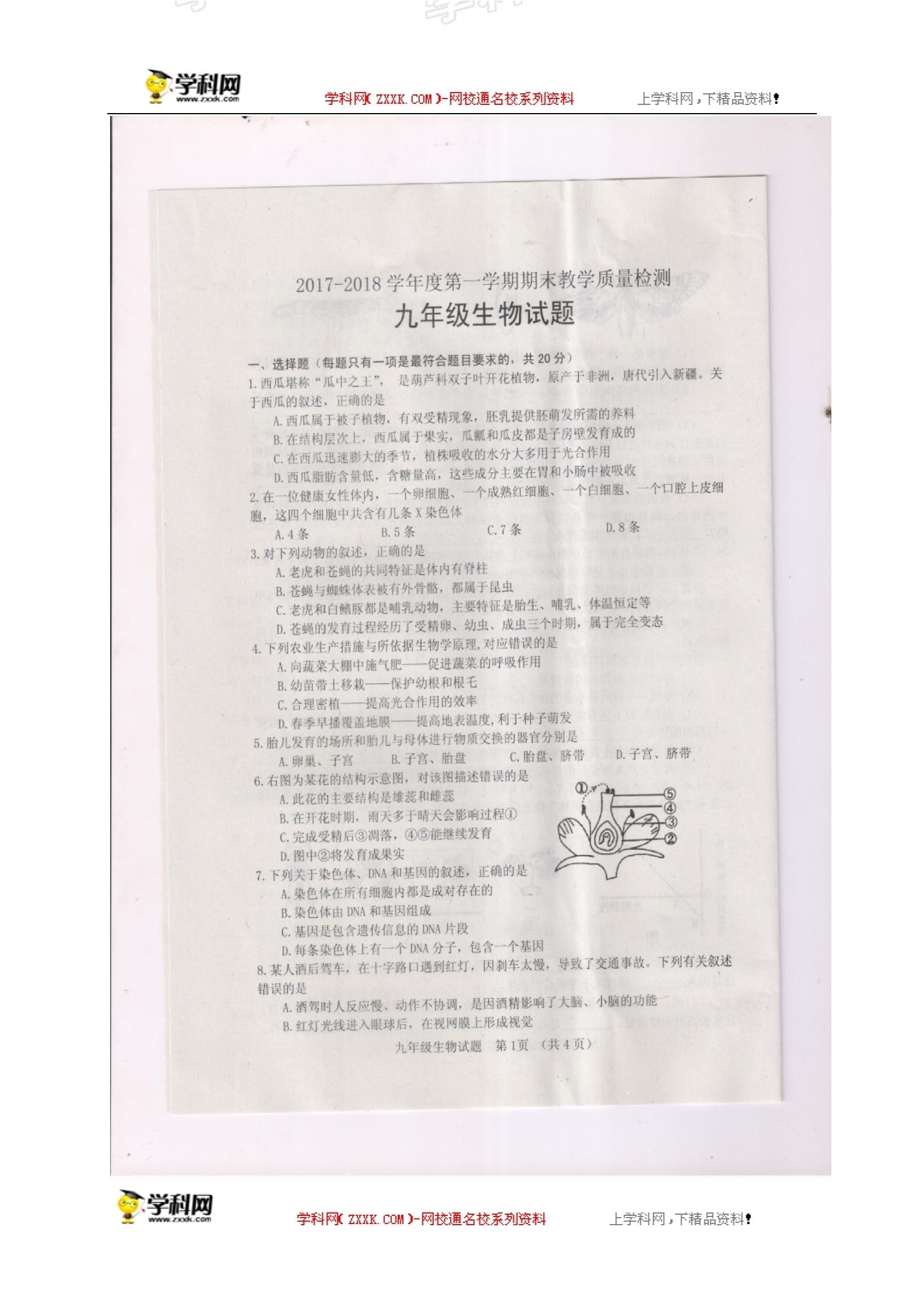 山东省郓城县2018届九年级上学期期末考试生物试题（图片版）
