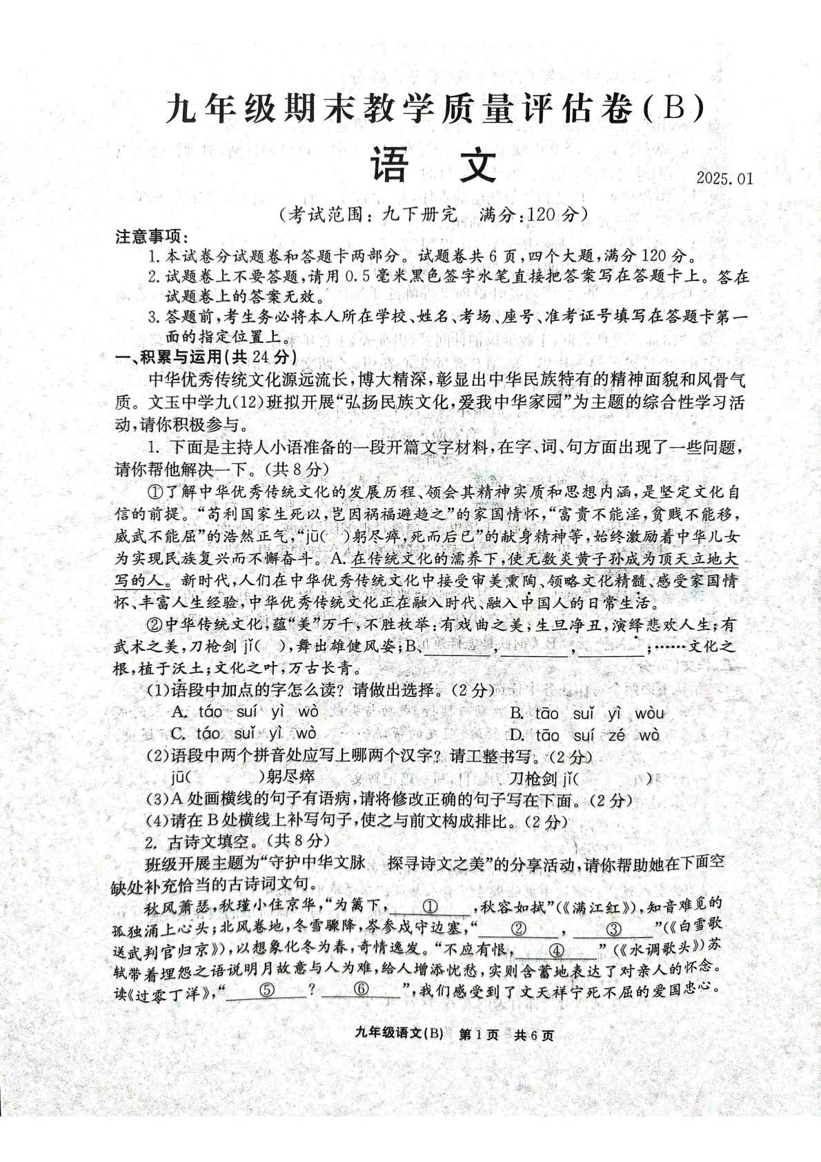 河南省安阳市林州市2024-2025学年九年级上学期期末考试语文试卷
