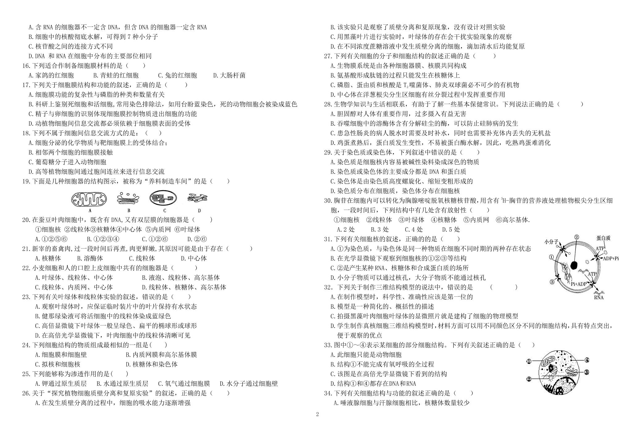 吉林省吉化第一高级中学校2019-2020学年高一上学期期中考试生物试题（PDF版） (2份打包)