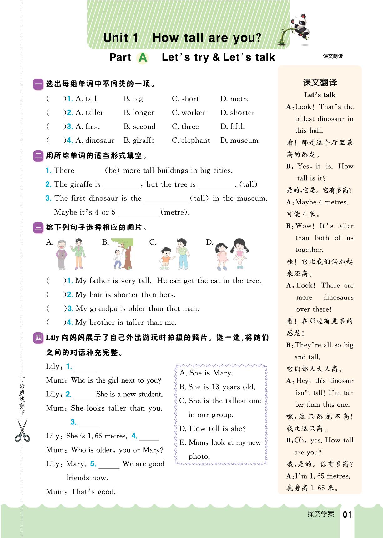 Unit 1 How tall are you-【探究学案】2024-2025学年新教材六年级下册英语同步训练（人教PEP版）