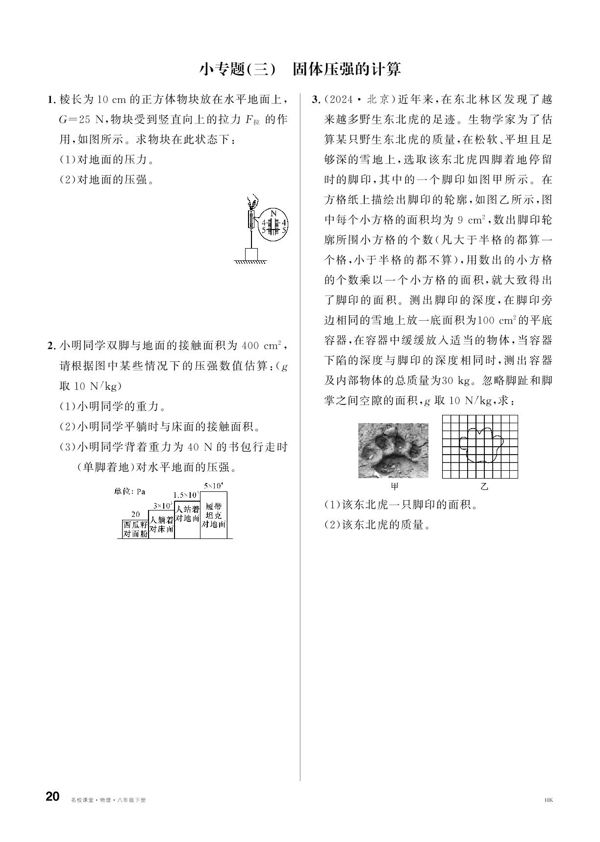 小专题(3) 固体压强的计算&小专题(4) 固体压强的切割、叠加问题-【名校课堂】2024-2025学年新教材八年级下册物理同步课时训练（沪科版 2024）