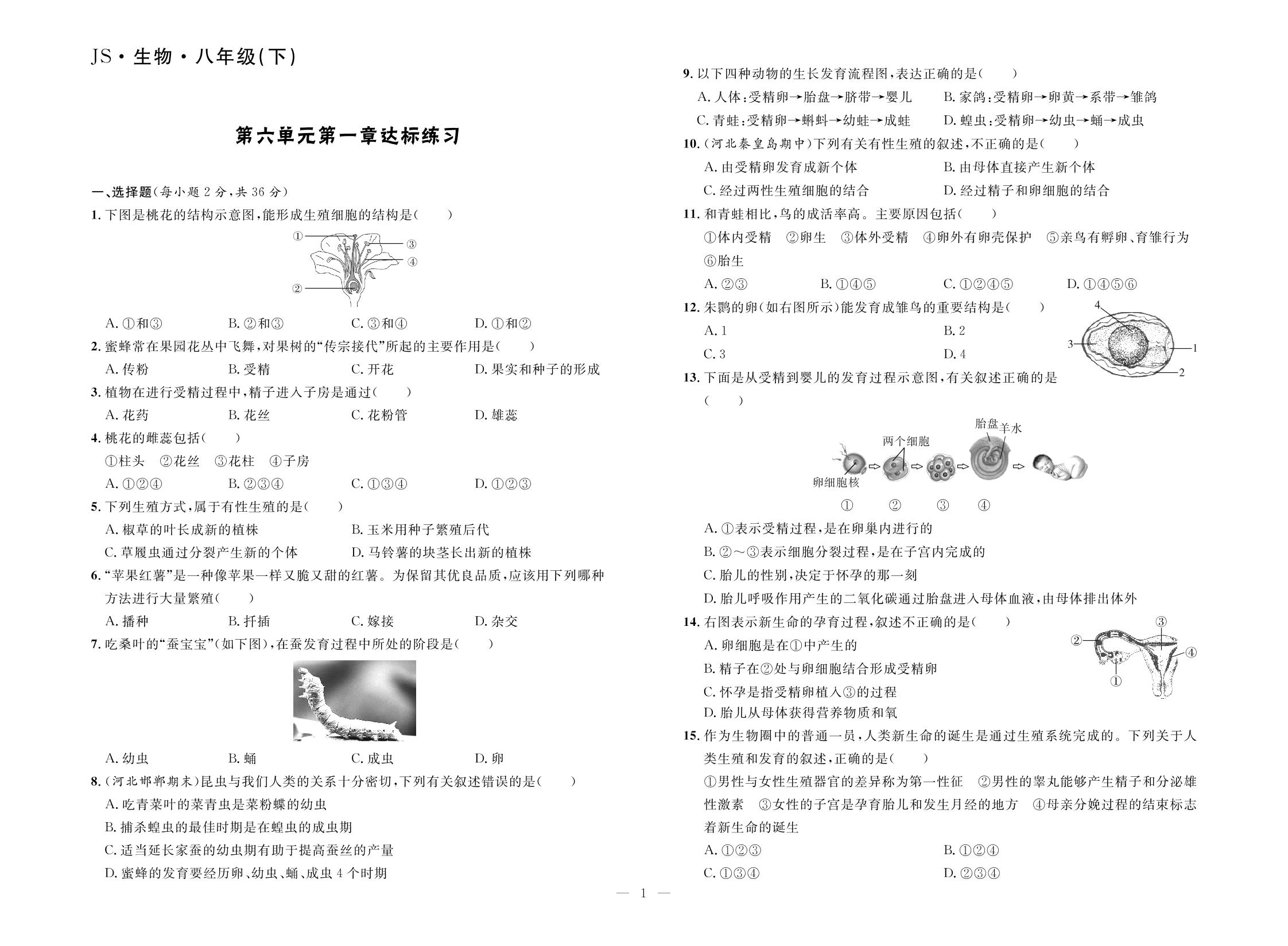 第6单元 第1章 生物的繁殖 达标练习-【夺冠百分百】2024-2025学年八年级下册生物新导学课时练（冀少版）河北专版