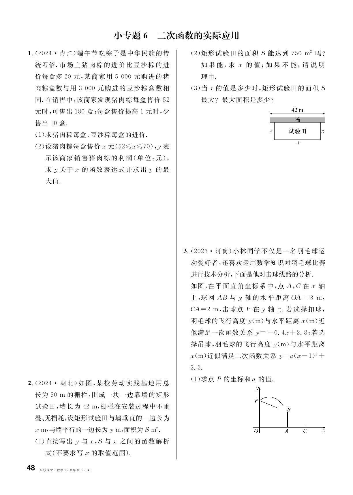 小专题6 二次函数的实际应用-【名校课堂】2024-2025学年九年级下册数学同步课时训练（北师大版）