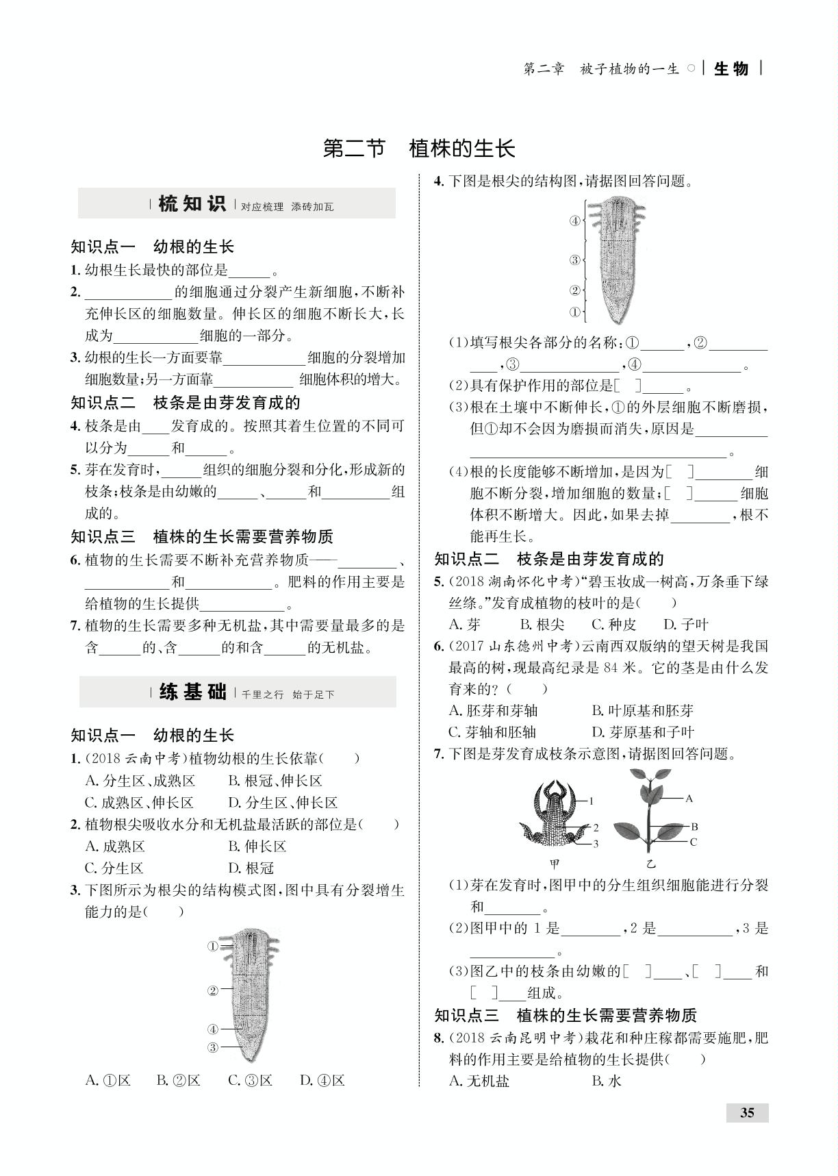 3.2.3 开花和结果（全练）-【优化设计】2019-2020学年七年级上册初一生物同步学考（人教版）