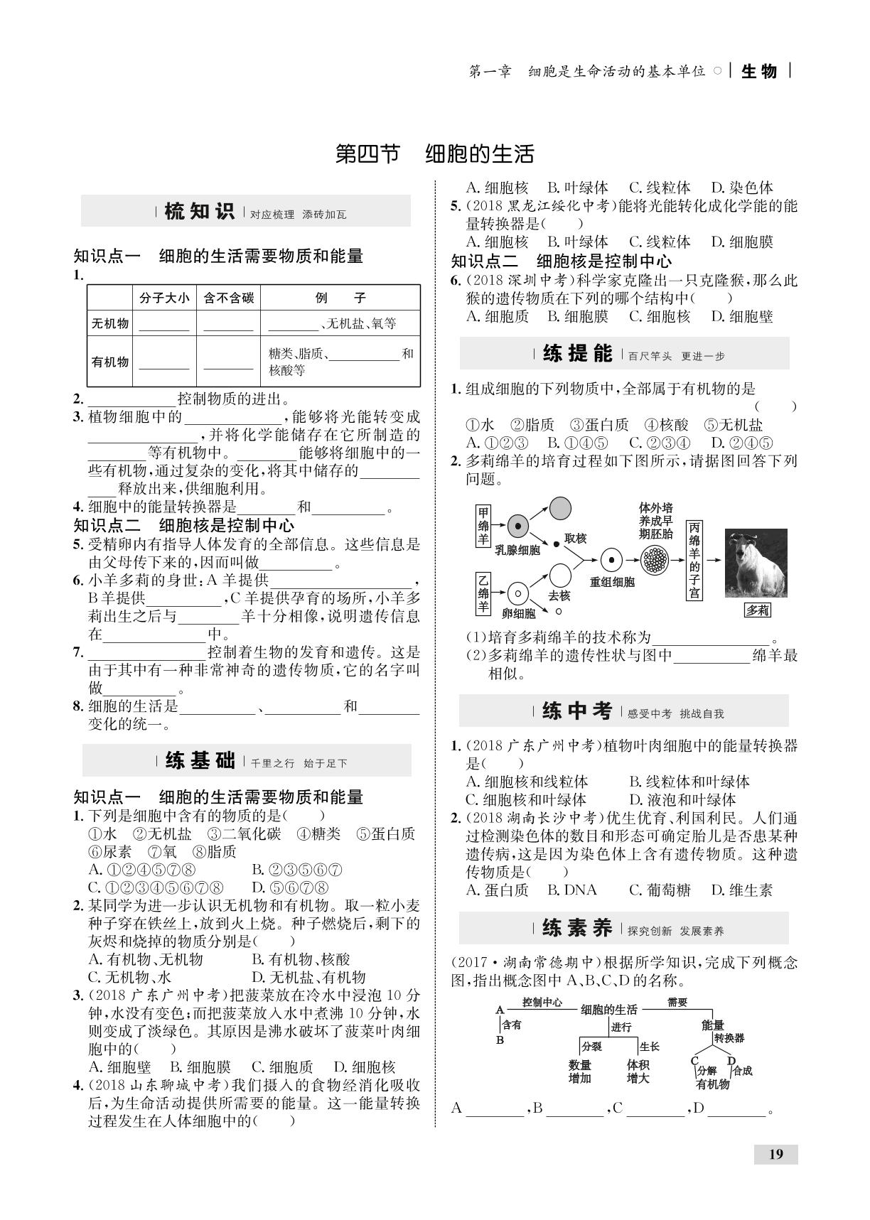 2.2.1 细胞通过分裂产生新细胞（全练）-【优化设计】2019-2020学年七年级上册初一生物同步学考（人教版）