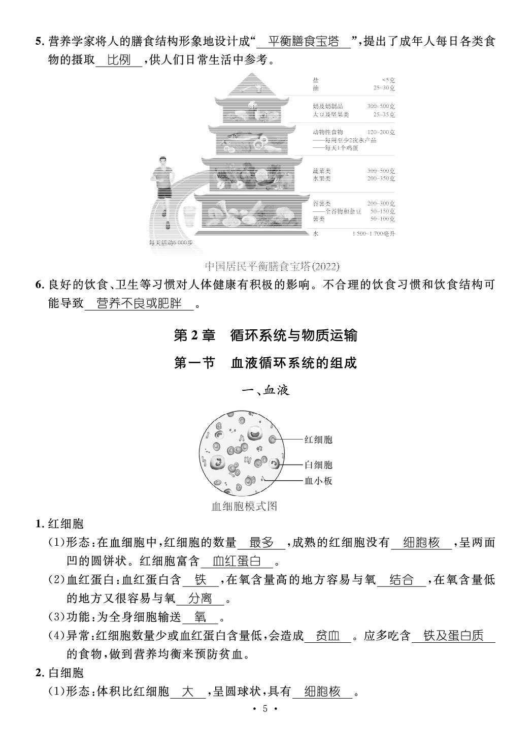 第2章 循环系统与物质运输(速记图解)-【鸿鹄志·名师测控】2024-2025学年新教材七年级下册生物（冀少版2024 江西专版）