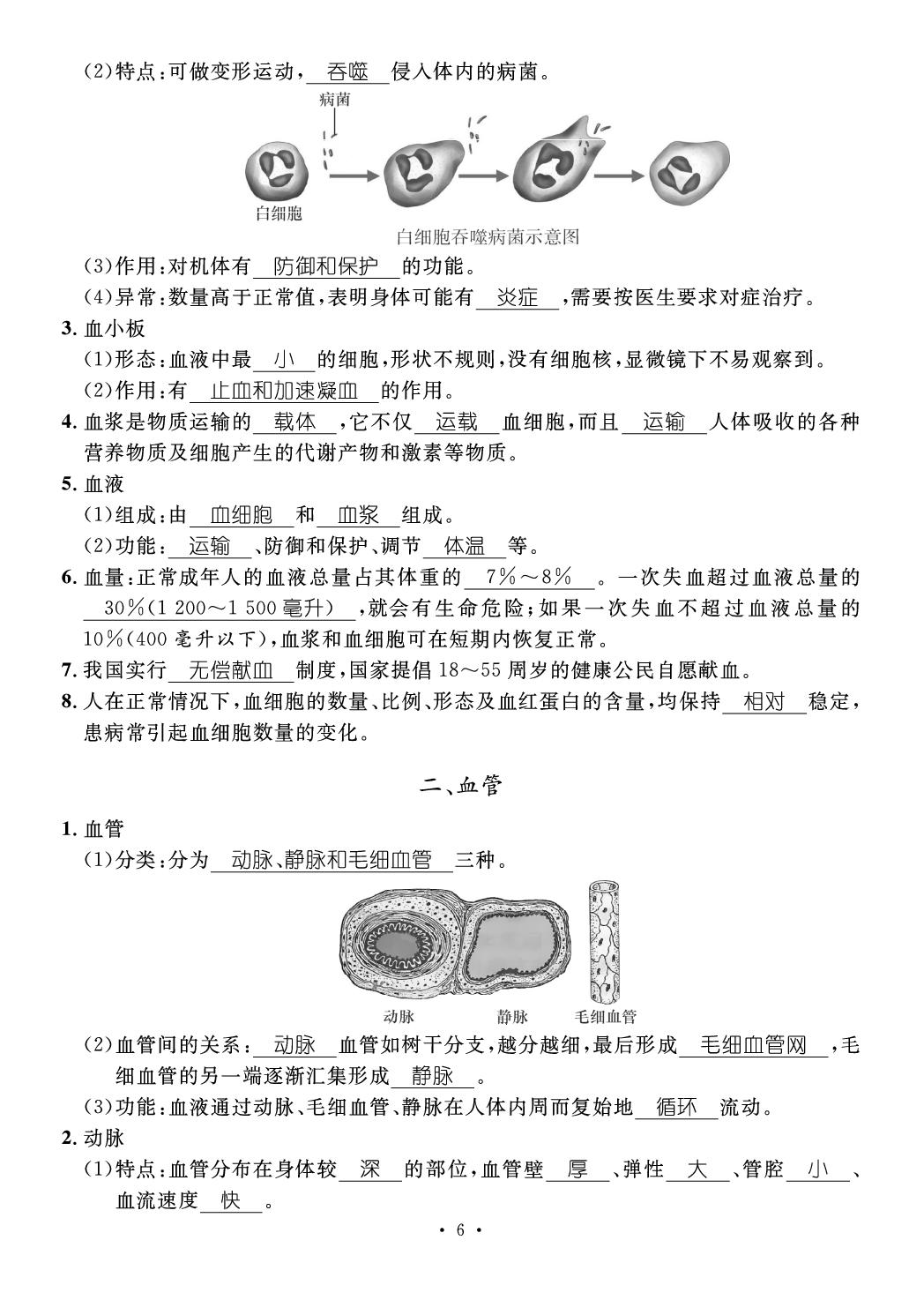 第2章 循环系统与物质运输(速记图解)-【鸿鹄志·名师测控】2024-2025学年新教材七年级下册生物（冀少版2024 江西专版）